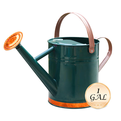 SunnyTong Metal Watering Can for Outdoor and Indoor Plants, Watering Can Decor, 1 Gallon (1 Gallon Green2)