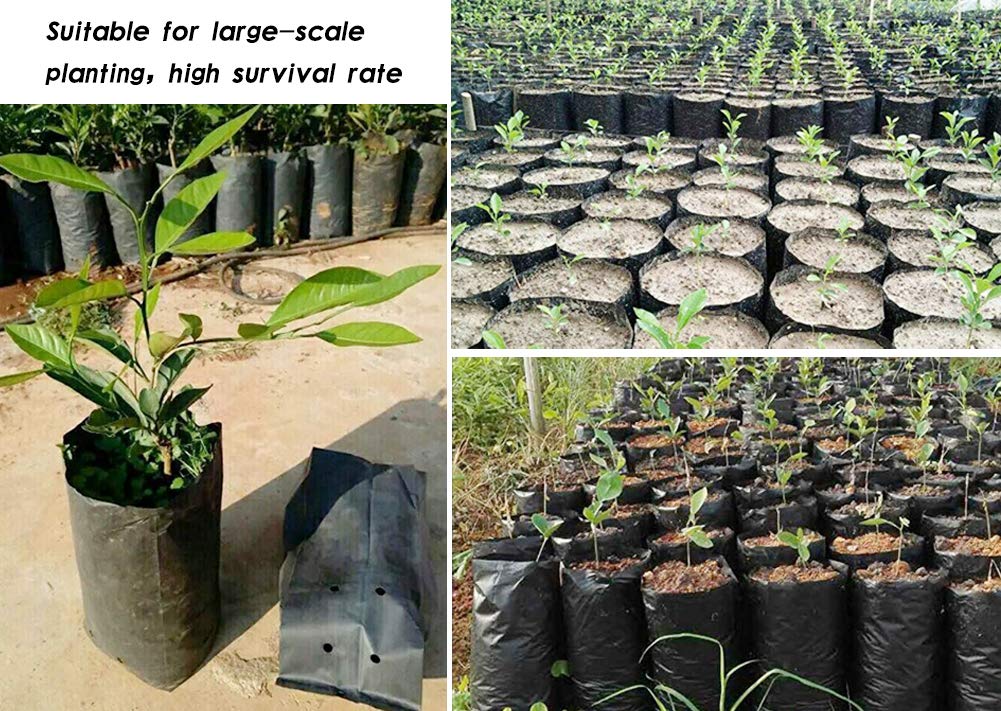 Frjjthchy 100 PCS Thicken Plastic Nursery Bags for Plants Fruit Flower Grow Bags Seedling Pots (7.87x15.75 in)
