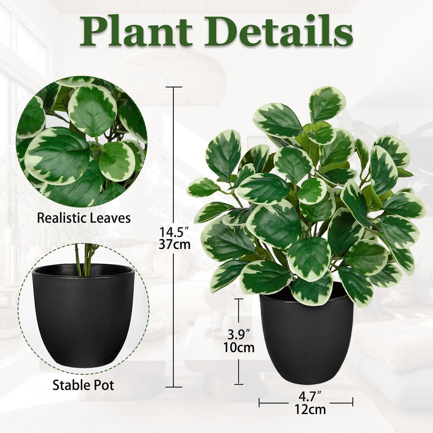 Villa Como 14.5" Artificial Plants Indoor Home Decor, Fake Potted Silk Plants for Shelves Living Room Decorative, Small Artificial Office Desk Plant in Pots, Faux Peperomia Hope Tropical House Plant
