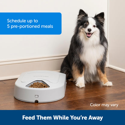 PetSafe 5 Meal Automatic Dog and Cat Feeder, Dispenses Dog Food or cat Food, Digital Clock
