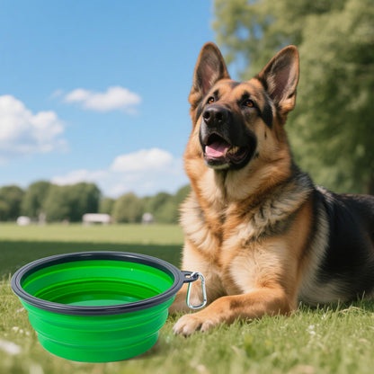 Dog Bowl Pet Collapsible Bowls, 2 Pack for Cats Dogs, Portable Pet Feeding Watering Dish for Walking Parking Traveling with 2 Carabiners (Small, Blue+Green)