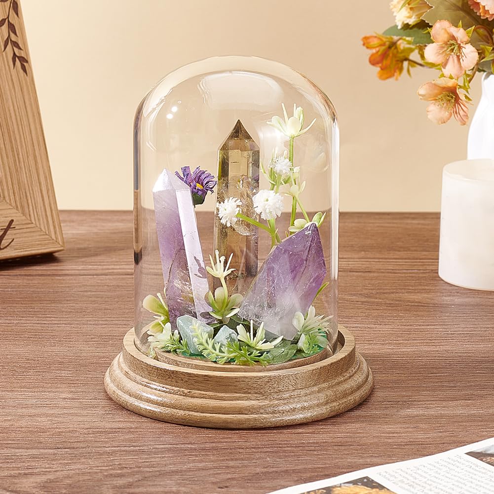 PH PandaHall 4.2" x 5.5" Glass Display Dome Cloche, Glass Dome Clear Bell Jar Display Case Tabletop Centerpiece with Solid Wood Base for DIY Snow Globes Flowers Plants Birthday Home Decor, Light Brown