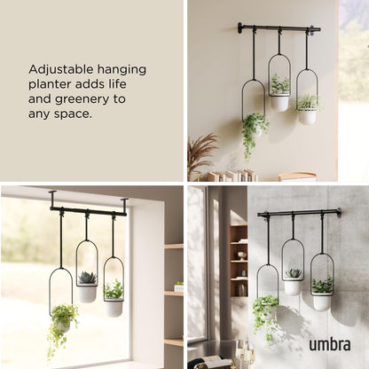 Umbra Triflora Hanging Planter for Window, Indoor Herb Garden, Set of 3, White/Black