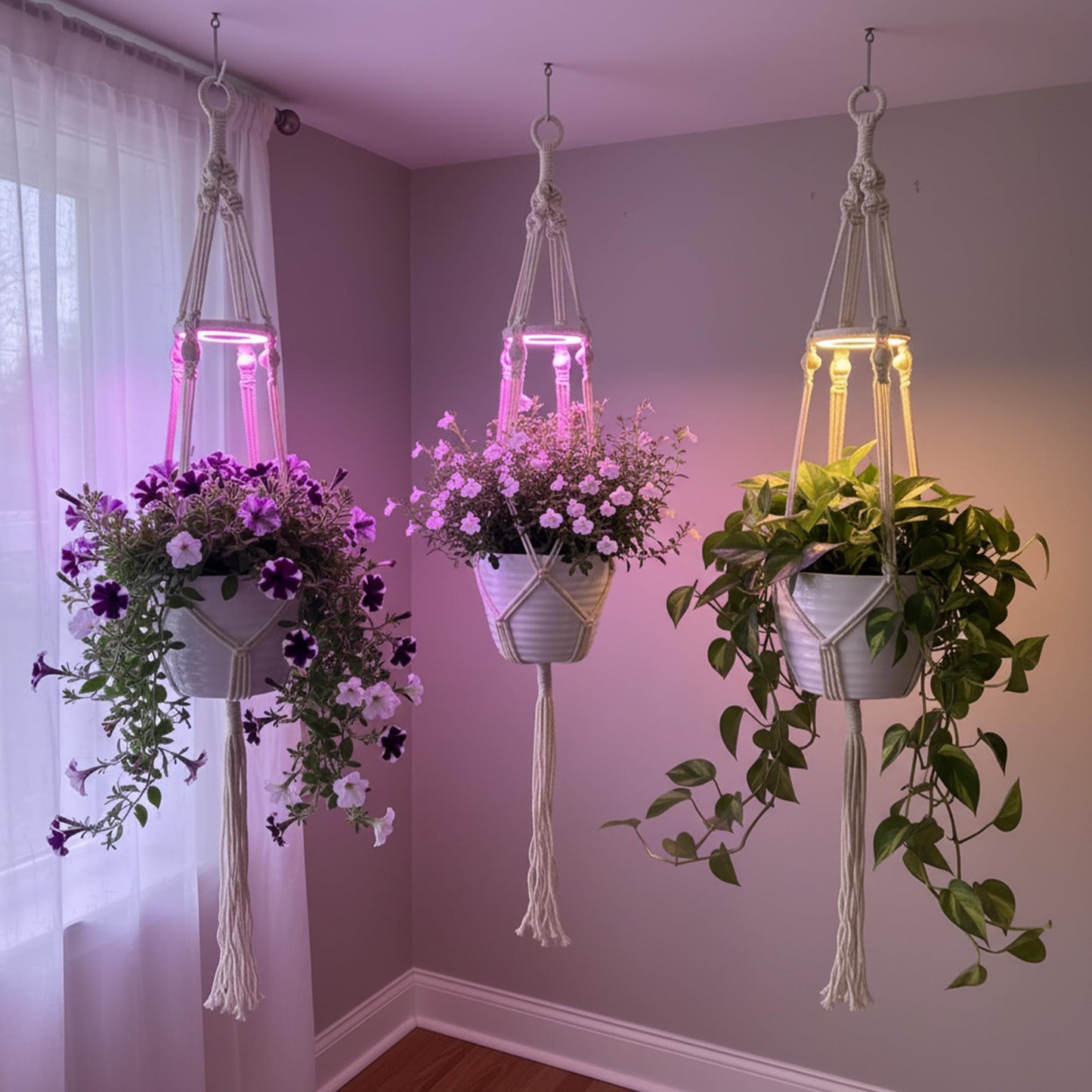 Lazukes Hanging Plant Grow Lights for Indoor Plants with Timer, Wall Mounted Full Spectrum Pendant Growing Light with Macrame Plant Hanger, Ceiling LED Planta Luz for Potted Plants Home Decor