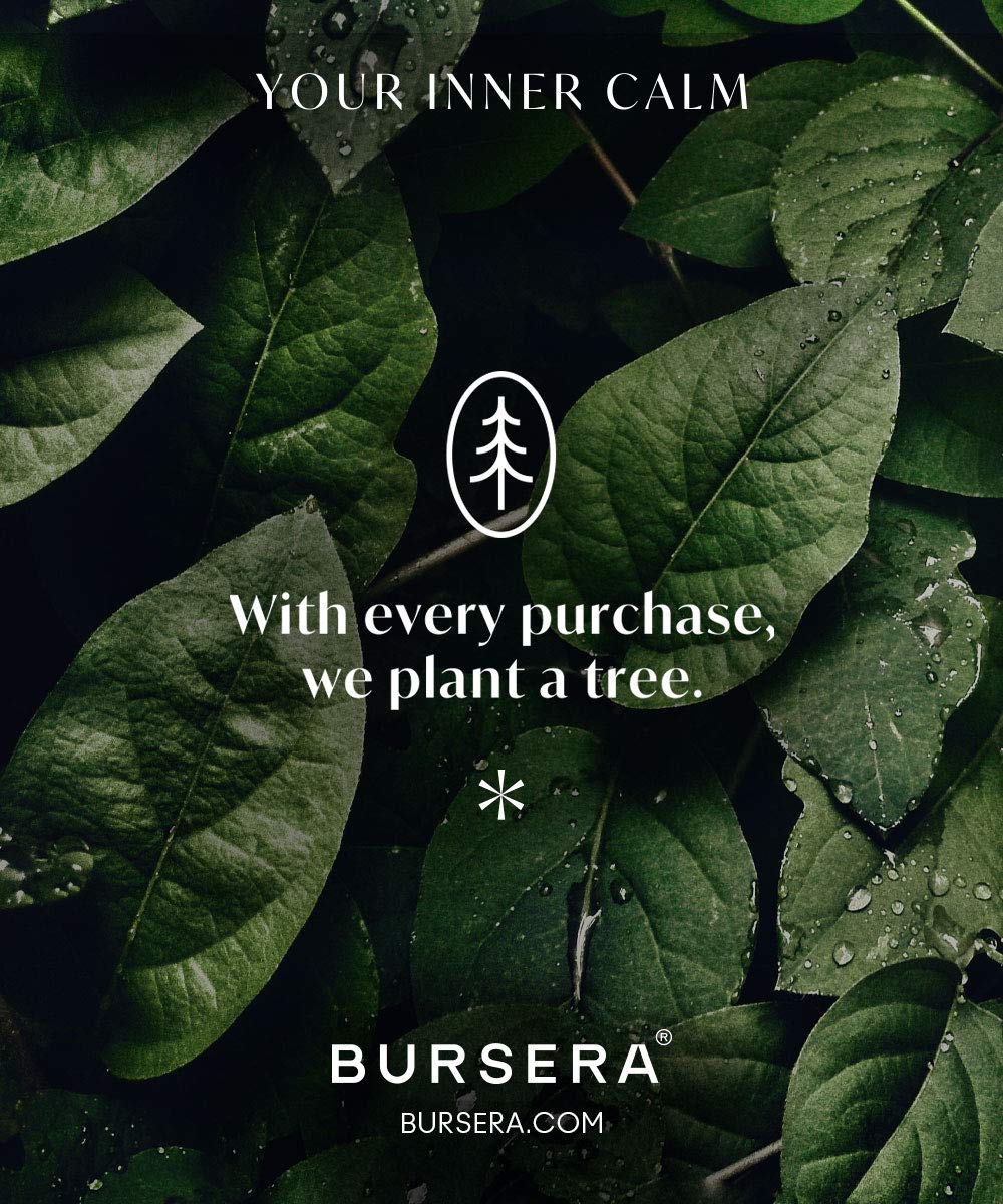 Bursera Terracotta Ceramic Bowl, Tree Planted with Every Order, Decorative Bowl with Side Slot for Matches, Smudging Burn Bowl for White Sage, Palo Santo, Matchstick Holder, Form for Candles