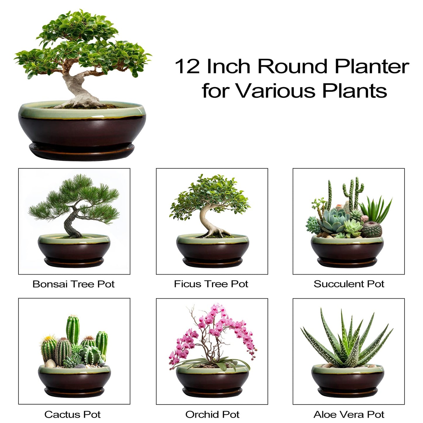 SQOWL Bonsai Pots 12 Inch - Large Ceramic Pots for Succulents with Drainage Hole and Saucer, Shallow Planter for Indoor Plants Outdoor, Round Planter Bowl, Office Decor, Gifts for Women, Green-Brown