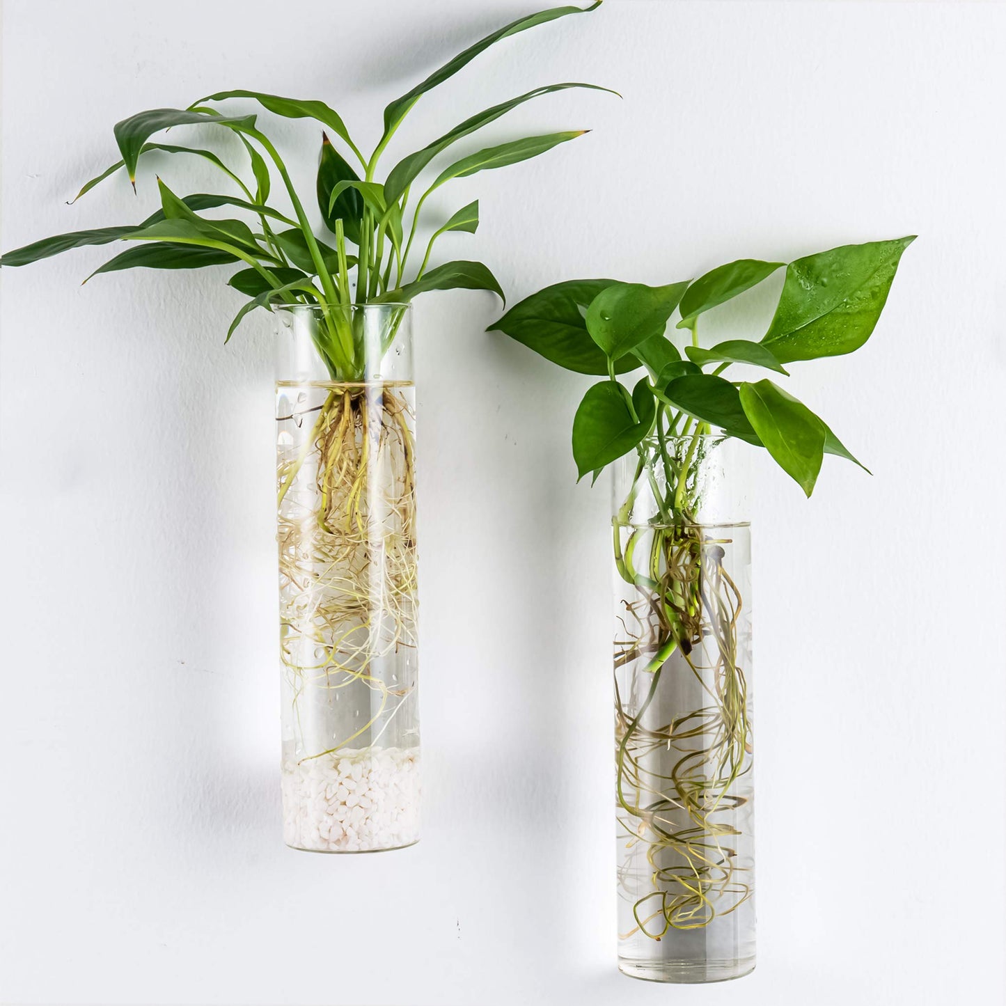 Kingbuy Wall-Mounted Plant Terrarium Propagation Station - 4 Cylinder Hanging Glass Tubes Planter for Hydroponic Plants, Indoor Wall Vases & Decorative Plant Holder Bathroom Office Living Room Decor