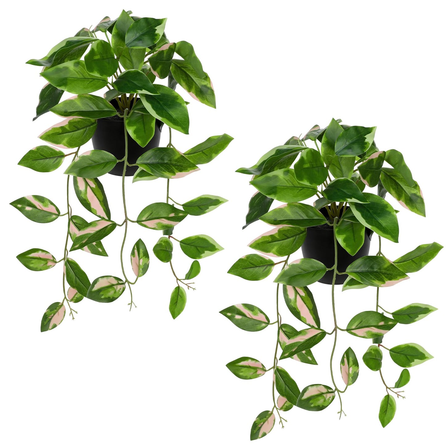 Briful Small Fake Plants Indoor (Set of 2) Realistic Faux Trailing Plant Artificial Potted Plants in Black Pot Pink N' Joy Leaf Houseplant for Living Room Table Kitchen Counter Shelf