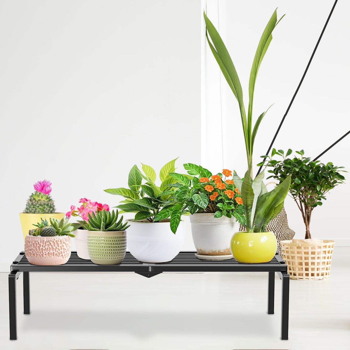 Gouisalin 1 Tier Metal Plant Stand Indoor Outdoor, Potted Multiple Flower Pot Holder Rack Plant Shelf, Heavy Duty Planter Display Shelving for Patio Balcony Garden Living Room Decorative (Black)