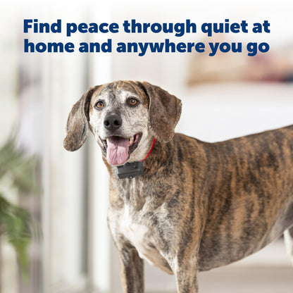 PetSafe Basic Bark Control Collar for Dogs 8 lb. and Up, Anti-Bark Training Device, Breeds, Waterproof, Static Correction, Canine - Automatic Dog Training Collar to Decrease Barking