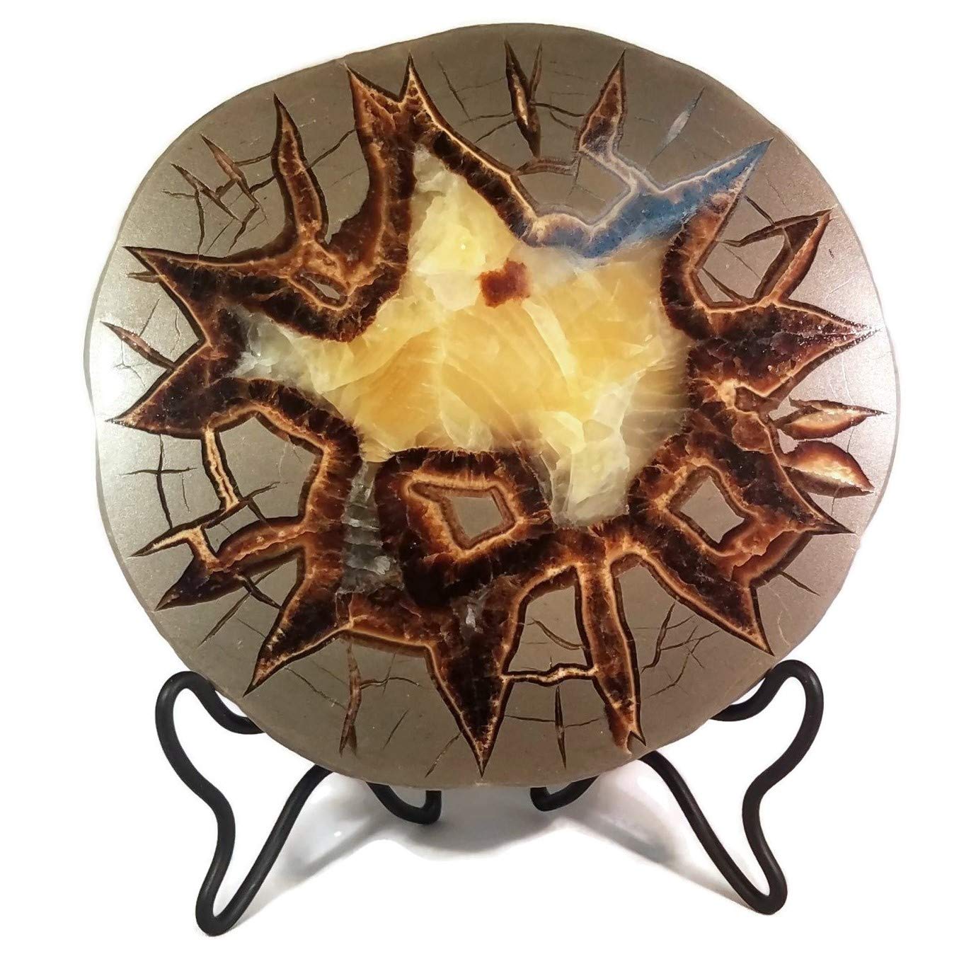 The Geode Mine: Septarian Nodule Slab - Stand and Information Card Included (A: 4.5 to 5.5 inch)