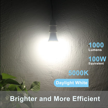 Dusk to Dawn Light Bulbs, Auto On/Off Light Sensing LED Bulbs Outdoor, Vintage Amber, Edison ST19 2-Pack, 6.5W 700LM 60W Equivalent, HQ-H027