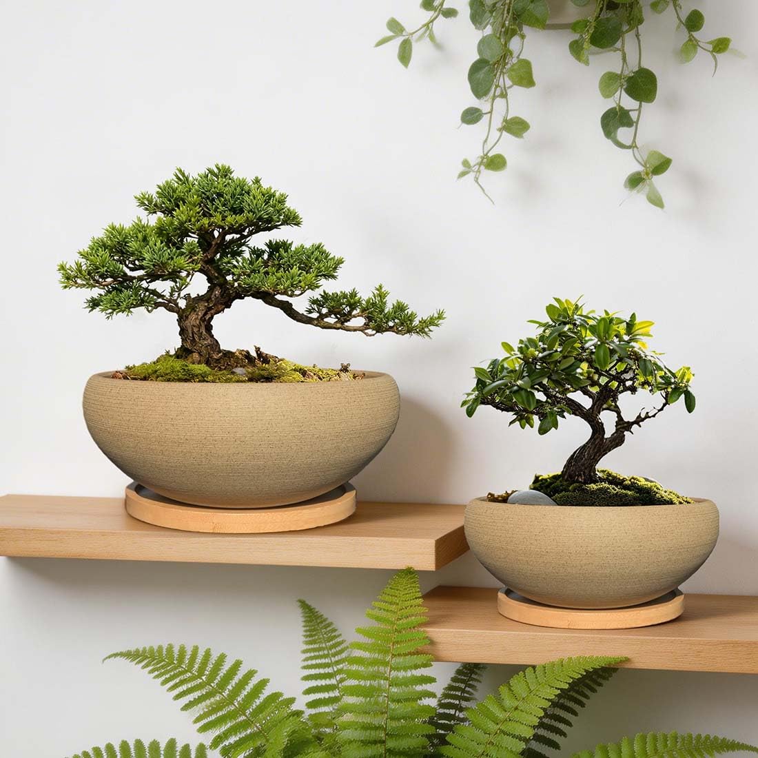 MUZHI 2 Pack Round Unglazed Ceramic Bonsai Pot with Bamboo Tray 8"+6.5", Large Rough Pottery Succulent Planter with Drainage Hole