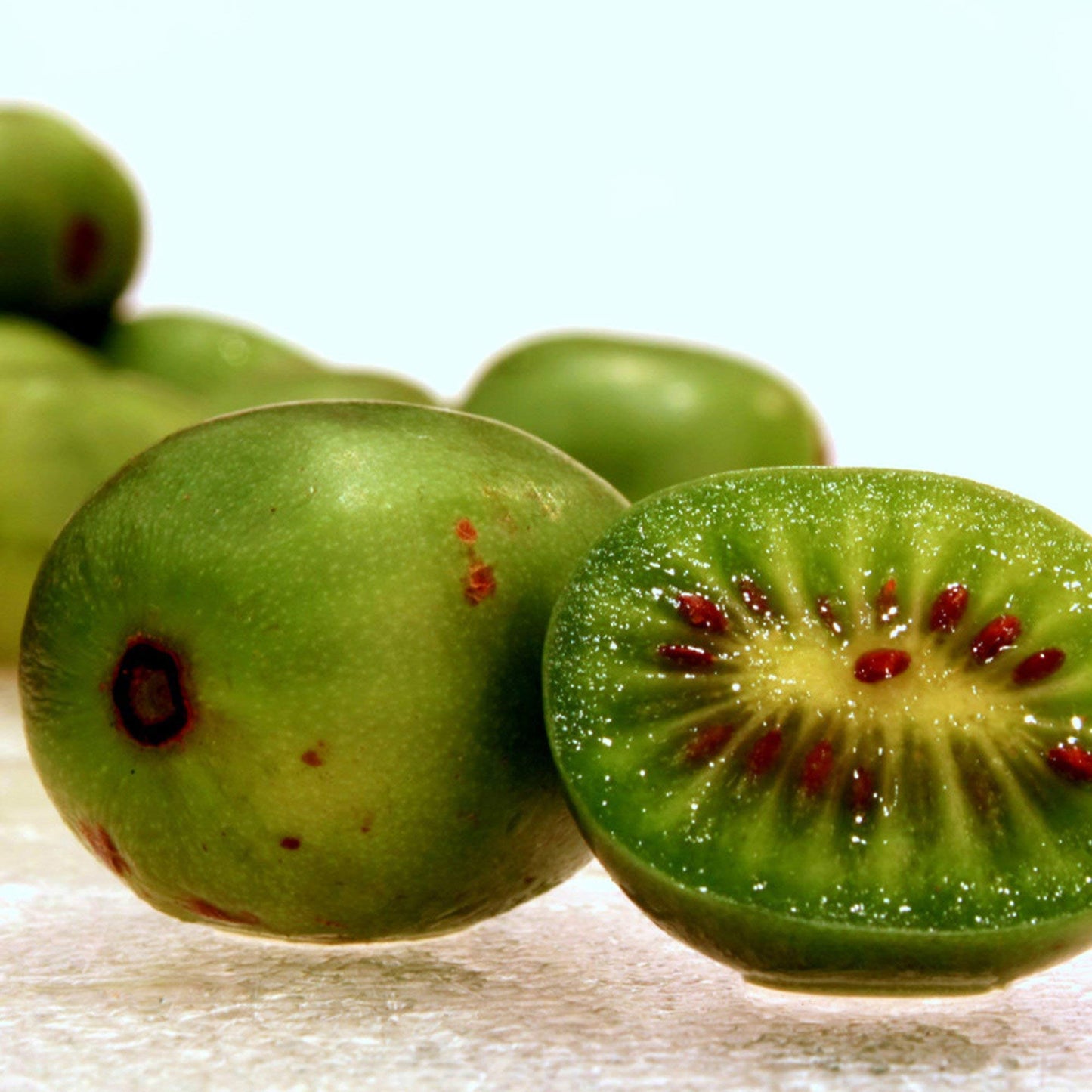 Palm Beach Medicinal Herbs Hardy Kiwi Seeds (Actinidia arguta) Pack of 10 Seeds
