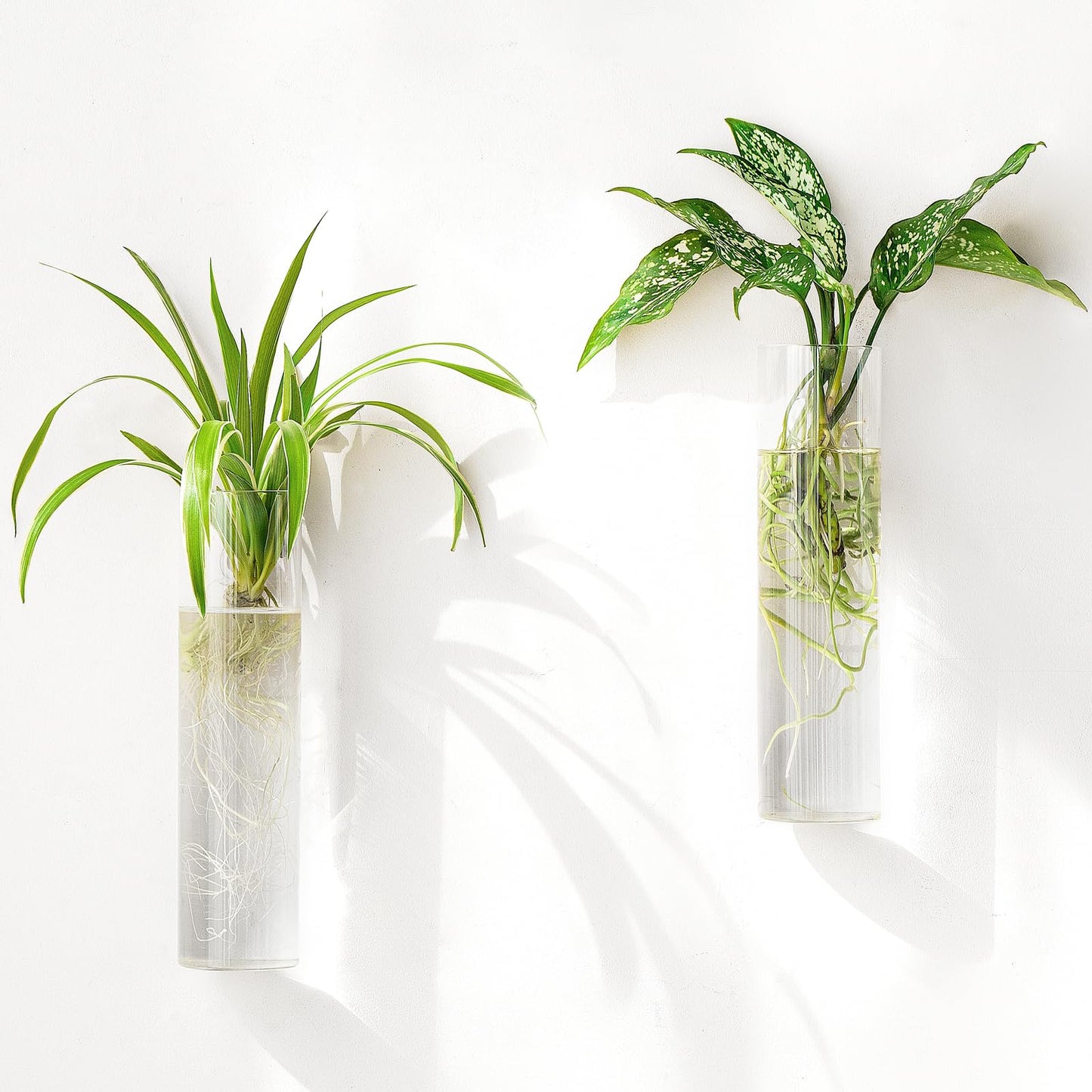 Mkono Propagation Station Wall Planter Hanging Glass Tubes Flower Vase for Hydroponics Plants, Bathroom, Home Office Living Room Decor Gift, Cylinder Set of 2(Plants not Included)