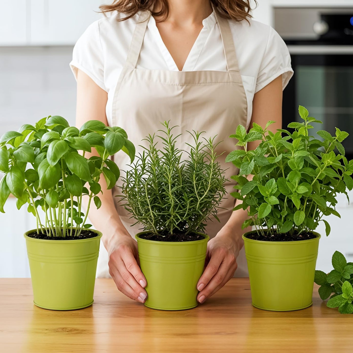 Plexon Herb Planter Indoor Garden Set of 3 with Tray, Metal Herb Pots for Indoor Plants, Round Kitchen Garden Kit Ideal for Windowsill Planter or Countertop, Green Powder Coated