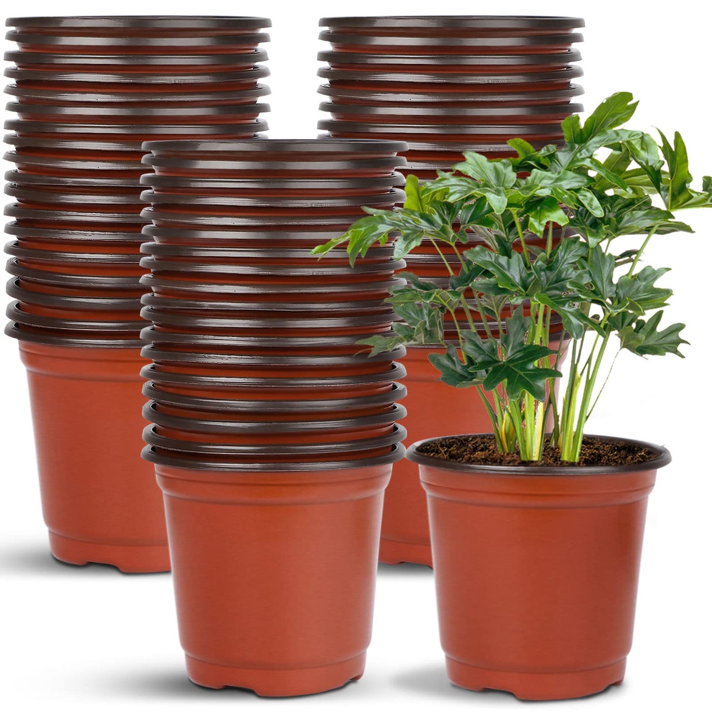 Augshy 40 Pcs 6" Plastic Plant Nursery Seed Starting Pots for Indoor Outdoor Succulent Seedling Cutting Transplanting