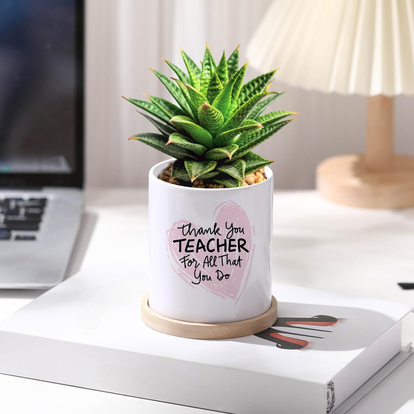 Teenyyou 6 Pcs Sublimation Flower Pot Blanks Mini 3.2 in Garden Ceramic Succulent Planter Pot with Bamboo Tray with Drainage Hole Thank You Gifts for Employee Appreciation Plant Lover