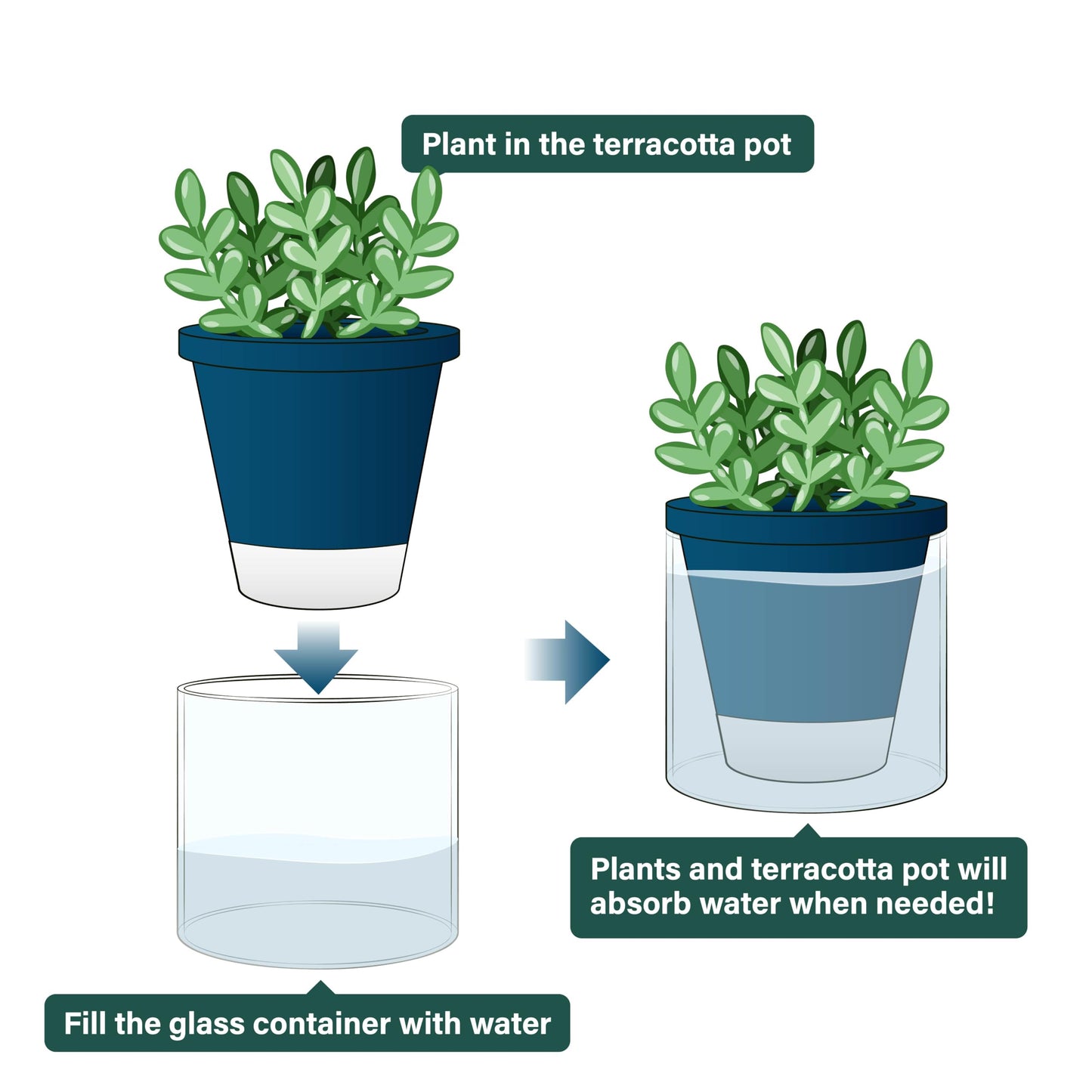 D'vine Dev 4 Inch Design Self Watering Planter for Indoor Plants, Blue Terracotta Pot with Cylinder Glass Cup, 37-X-A-4