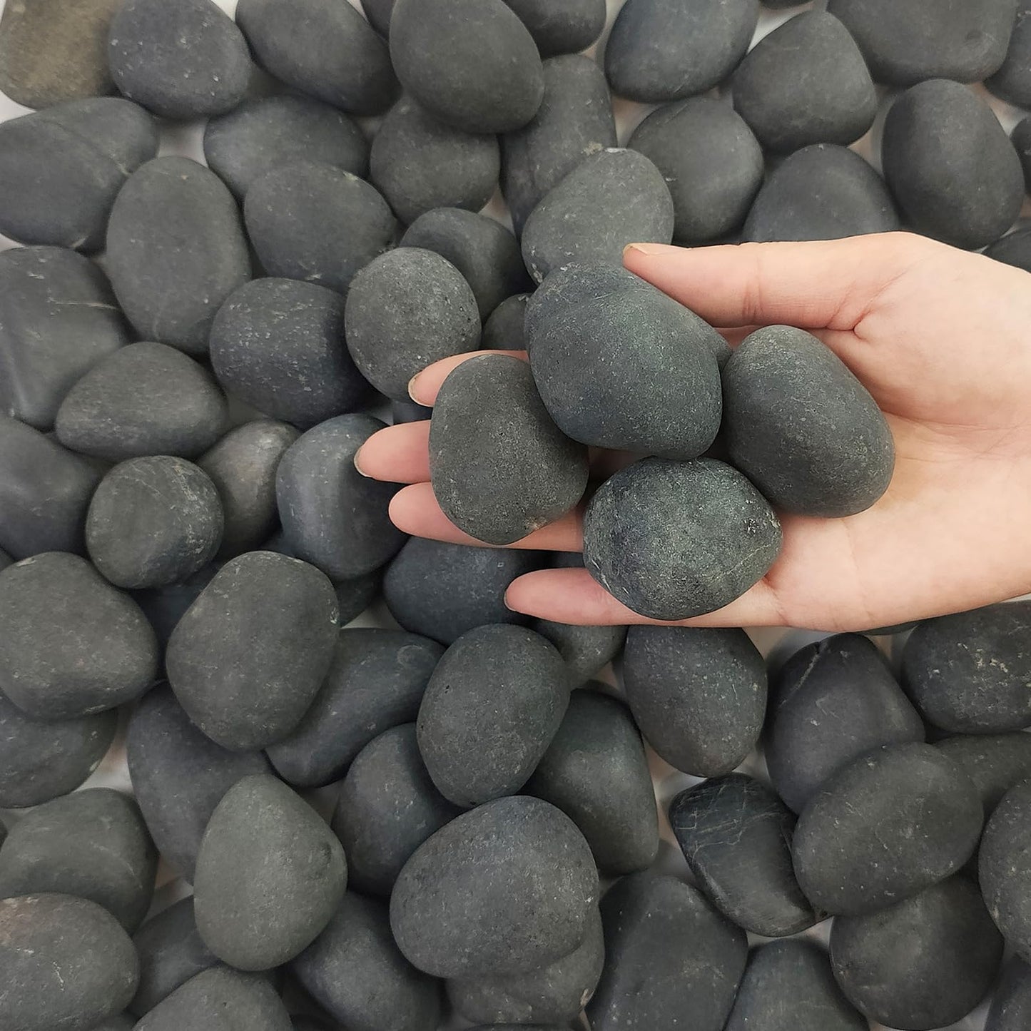 FANTIAN 5 lbs Black Pebbles for Indoor Plants, 1-2 Inch Stones Natural Decorative Black River Rocks for Planters, Painting, Aquarium, Outdoor Garden Landscaping, Walkways and Yards