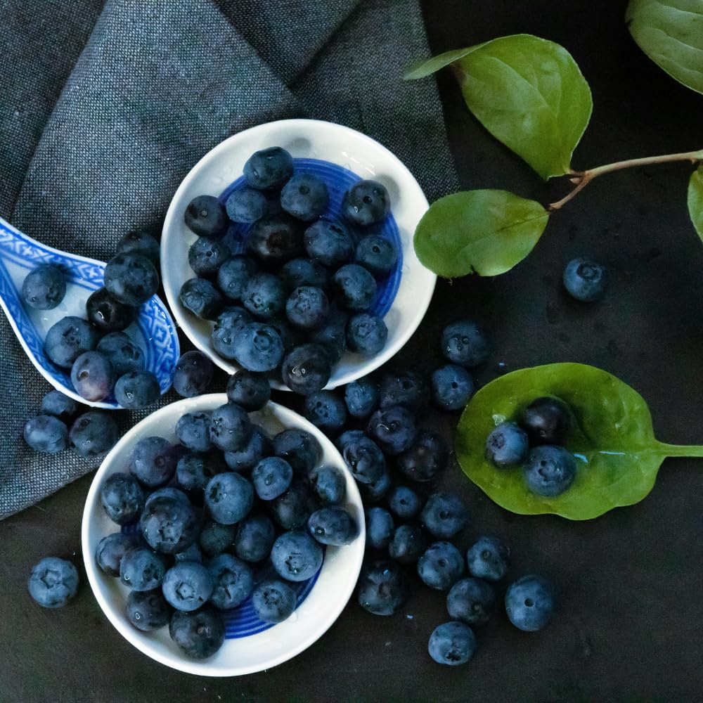 Huckleberry Plant, Huckleberry Bushes Live Plant, 4 Inches Pot, 3-5 Inc Tall, Hardy Fruit Tree for Indoor Outdoor Growing