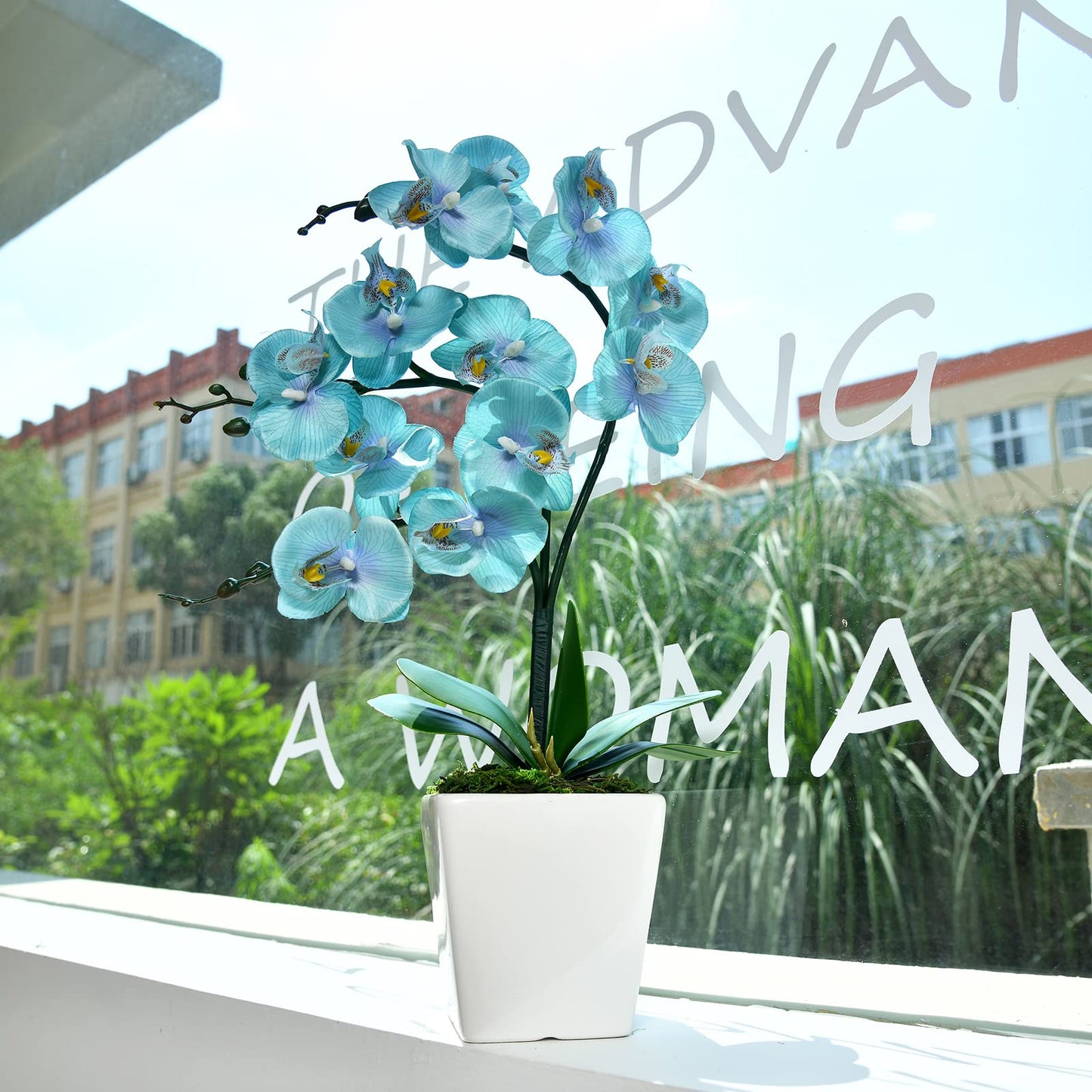 YSZL 15 Inches Tall Artificial Silk Phalaenopsis Orchid Flower Plant Pot Teal Arrangements (Golden Blue)