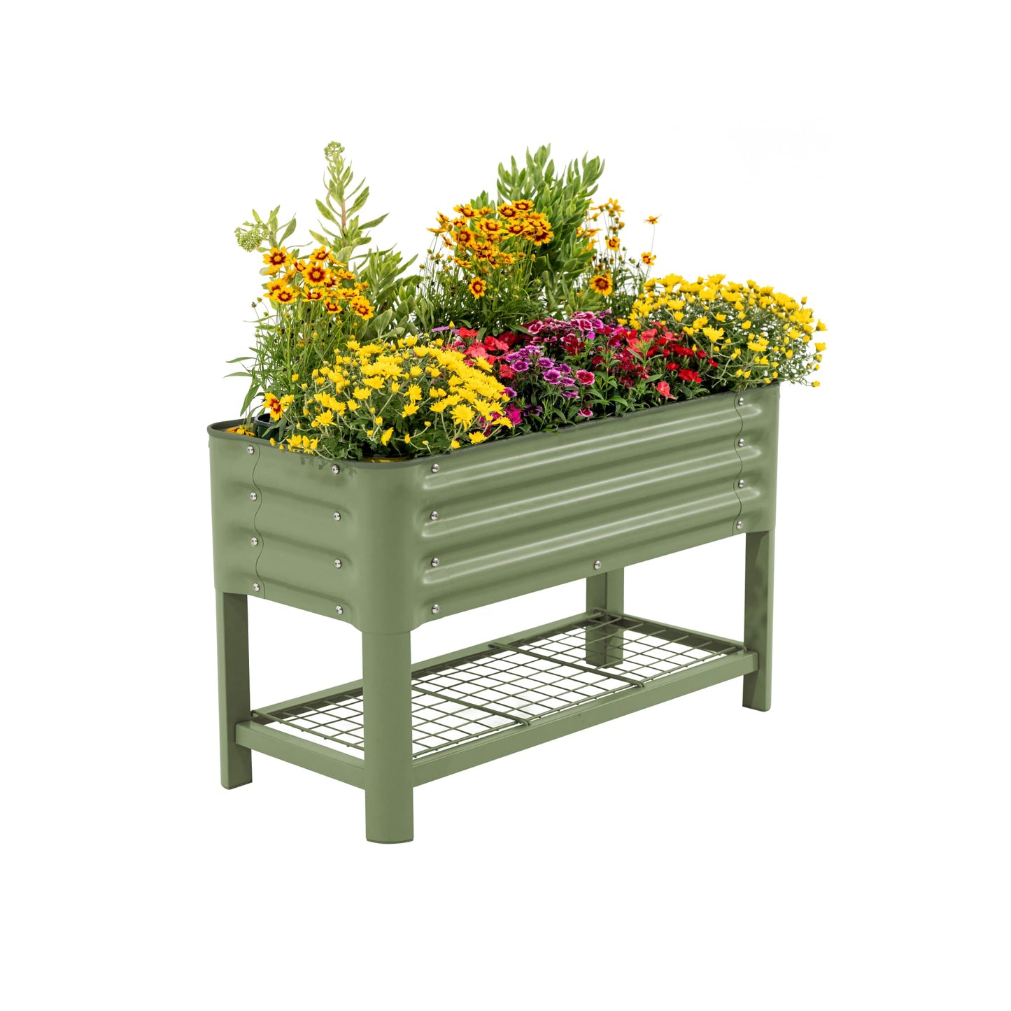 Elevated Raised Garden Bed for Kids Toddler, 16"(W) x 36" (L) x 22"(H) Outdoor Planters Box with Legs & Storage Rack, Solid & Safe Raised Beds for Gardening Herbs Vegetables Flowers, Olive Green
