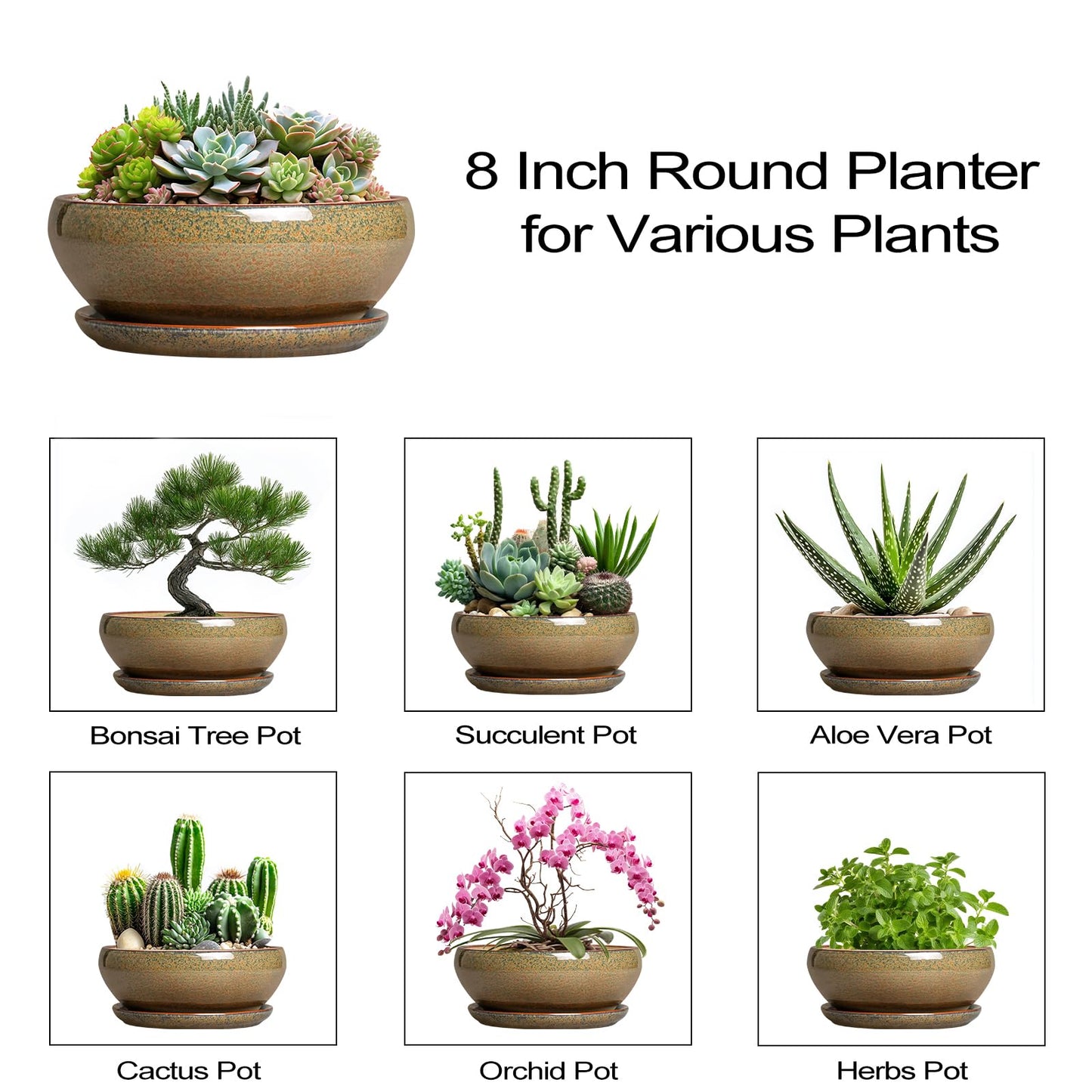 SQOWL Succulent Pots - 8 Inch Ceramic Bonsai Pots, Round Shallow Planter with Drainage Hole and Saucer, Succulent Indoor Planter, Bowl Planters Outdoor, Apartment Decor, Gifts for Women, Brown