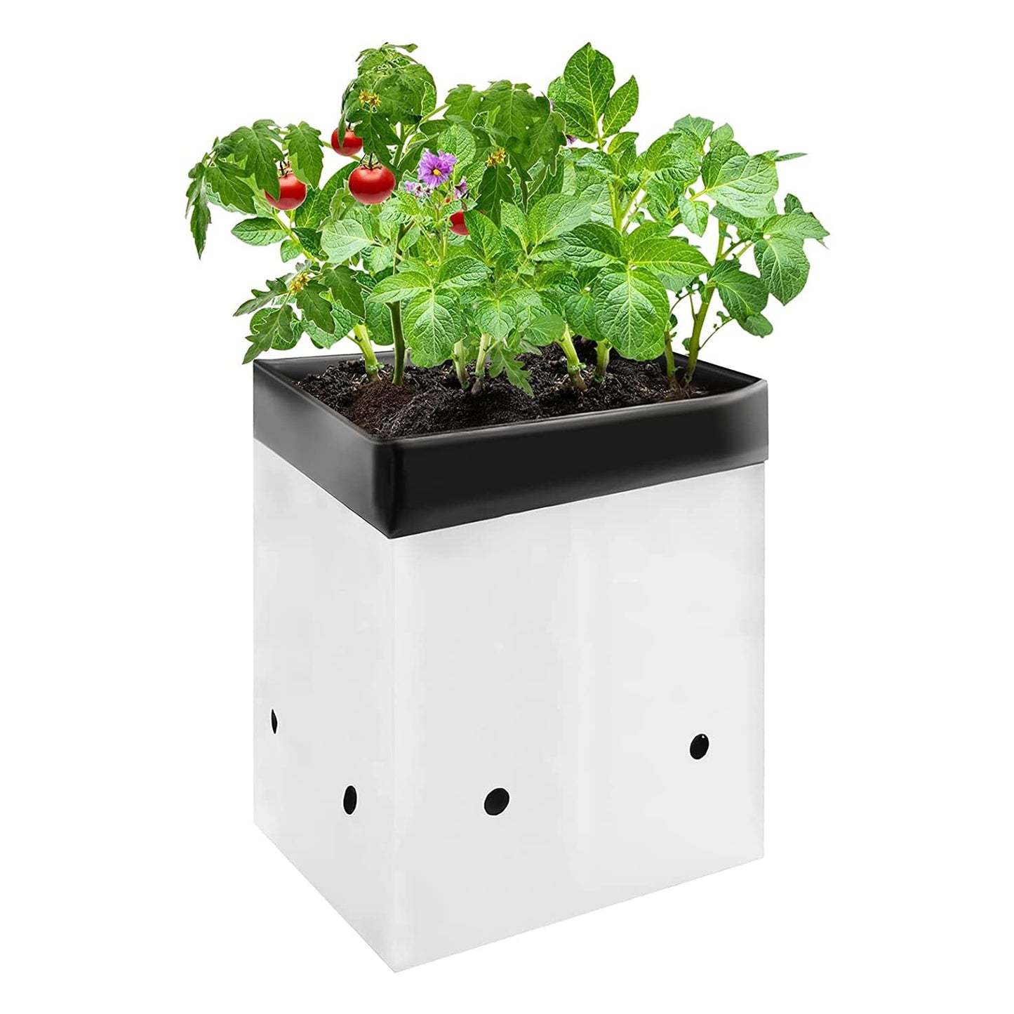 VIVOSUN 50-Pack 5 Gallon Grow Bags for Plants, Black-and-White Thick Plastic Bags for Potting Seedlings, and Rooting
