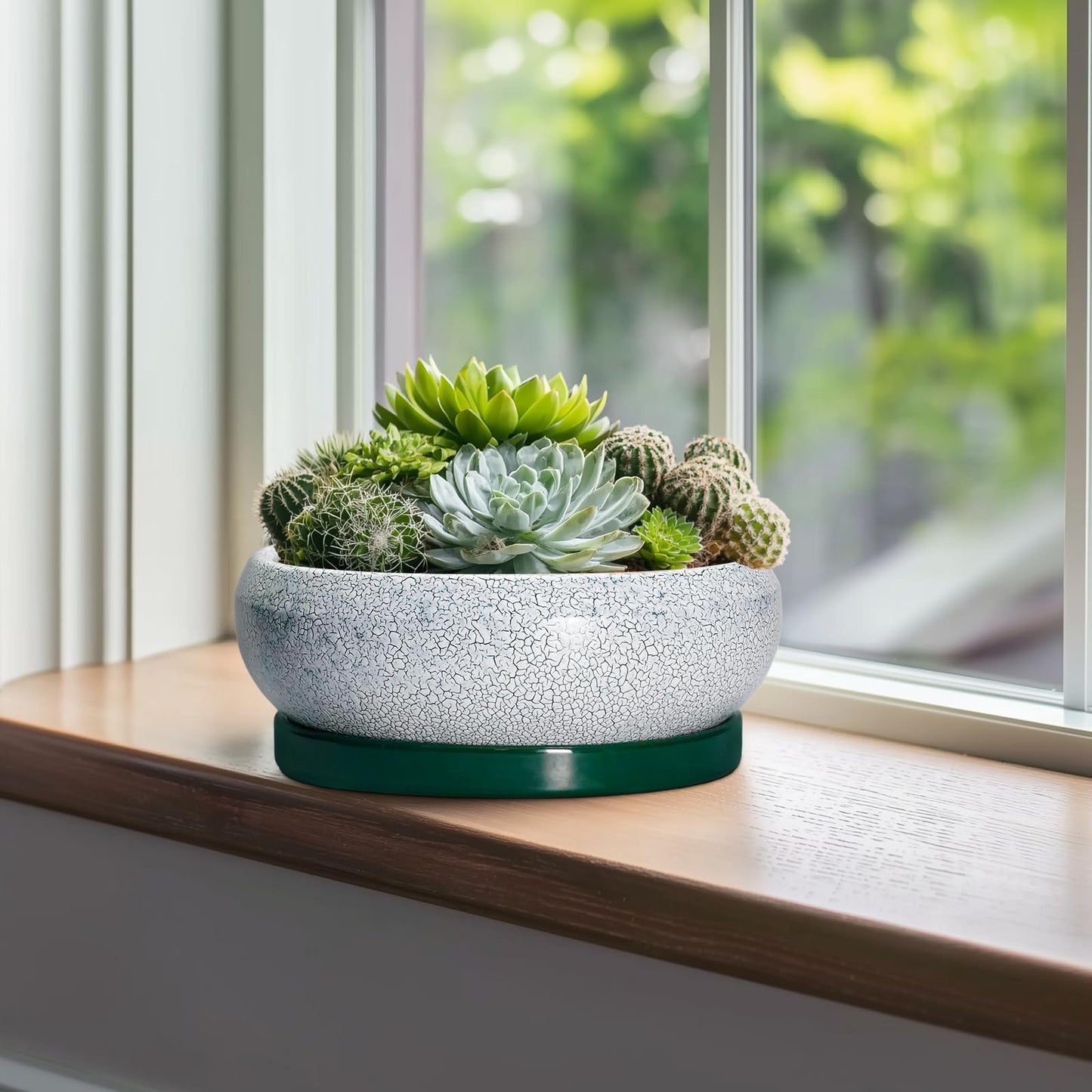 EPFamily Succulent Planters 10 Inch - Ceramic Bonsai Pots with Drainage Hole and Saucer, Large Succulent Pots Indoor, Shallow Planter, Round Bowl Planter Outdoor, Patio Decor, Plant Lover Gift, Green