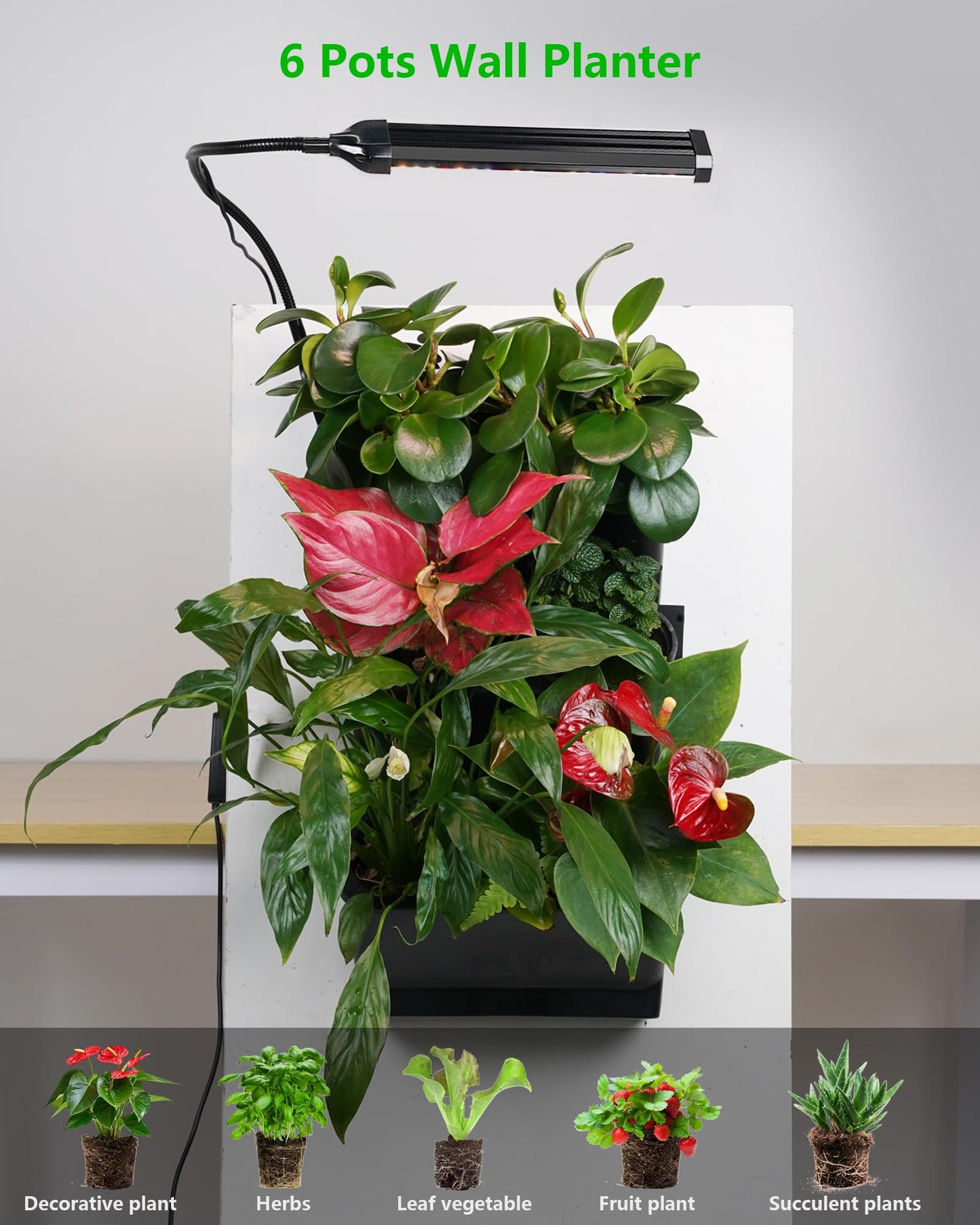 DPROOTS Wall Planters for Indoor Plants with Grow Light & Self Watering System, 6-Pot Vertical Garden for Herbs, Vegetables, Flowers, Succulents, Includes Screws & Expansion Pipes