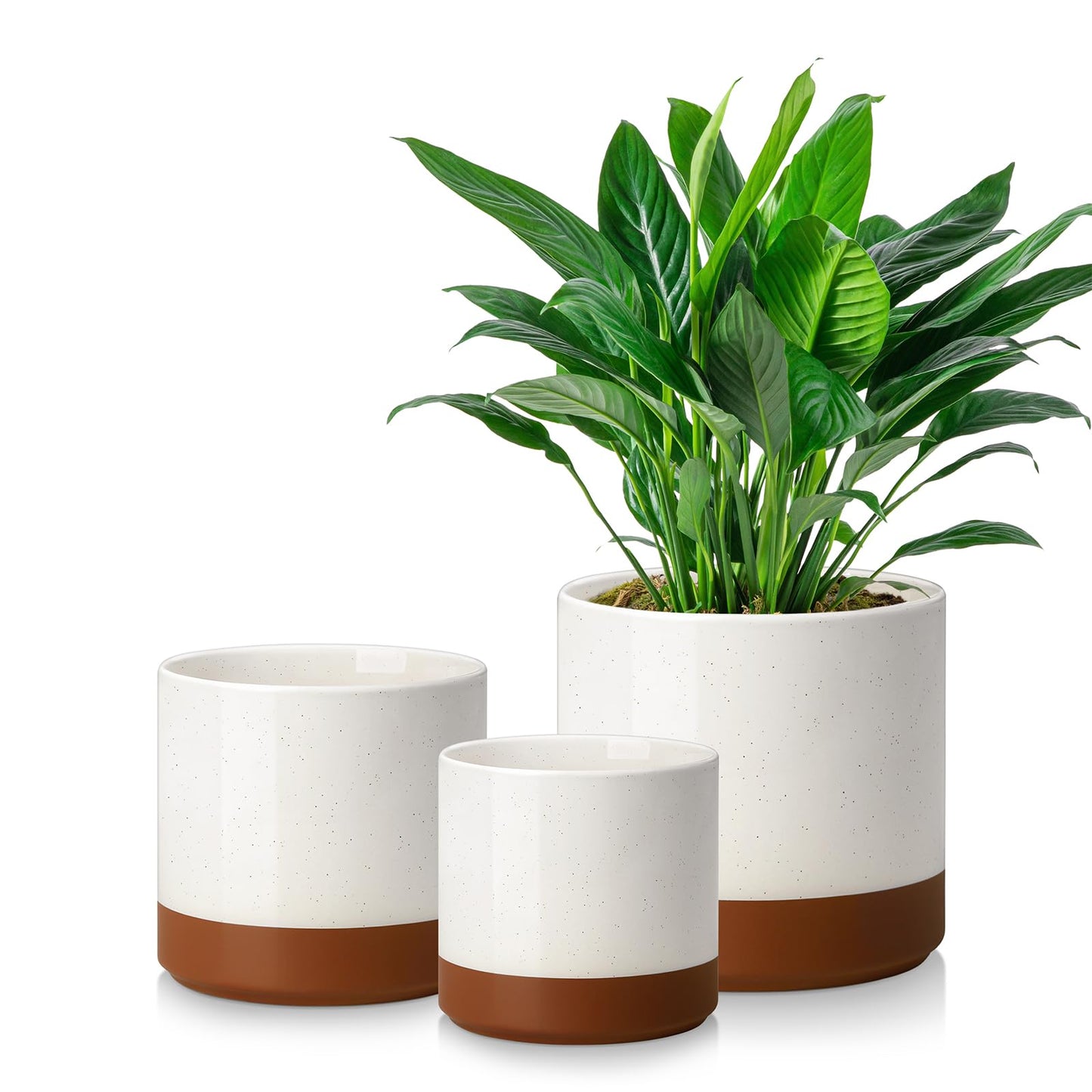 vancasso 6"+8"+10" Ceramic Pot for Plants, Large Outdoor Indoor Planter Pots with Drainage Holes, Set of 3, Khaki