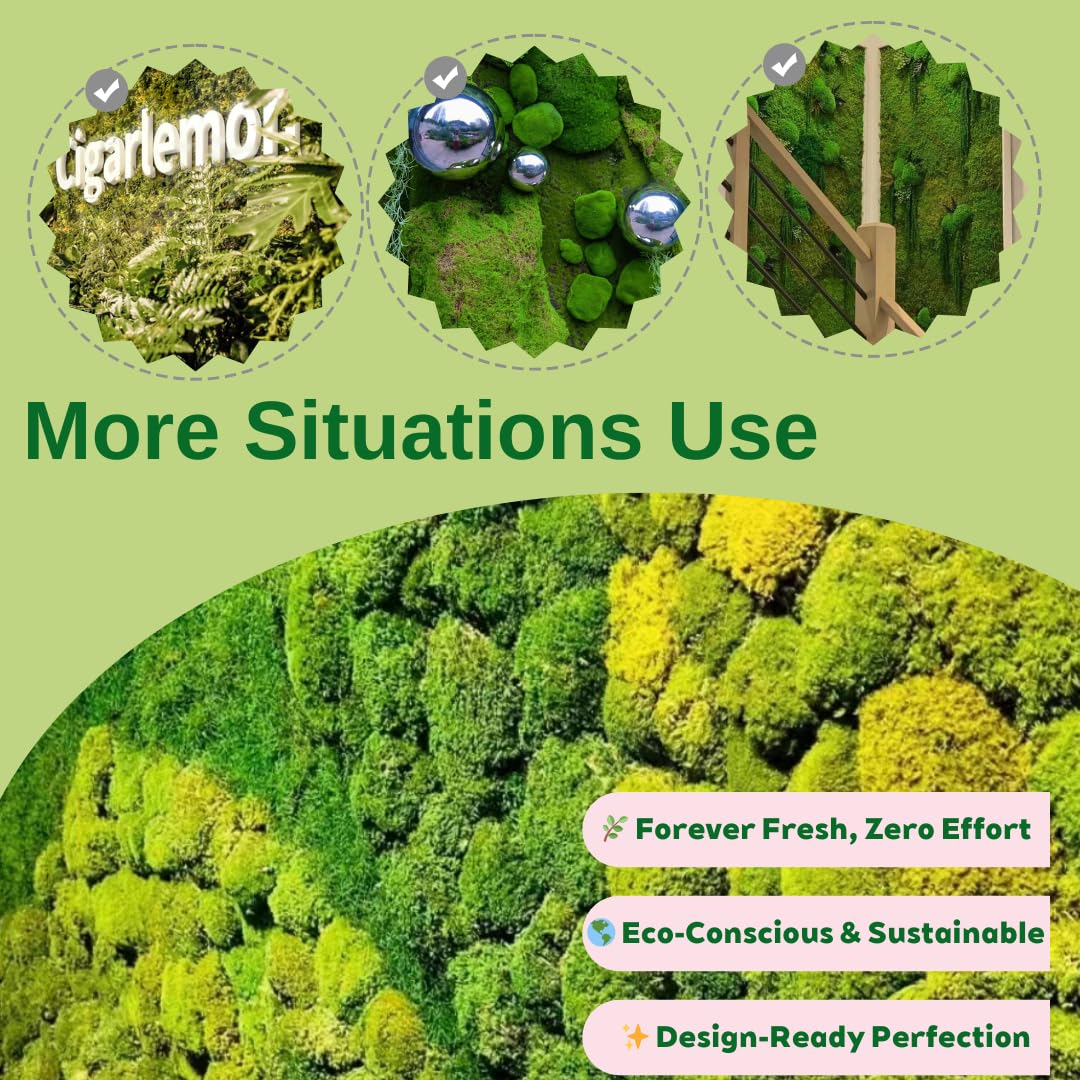 Cigarlemon Preserved Moss for DIY Crafts - 1.5 sq.ft Natural Dried Moss for Terrarium, Fairy Garden, Home Decor, Wall Art, Floral Arrangements - Flexible Real for Creative Projects, Dark Green