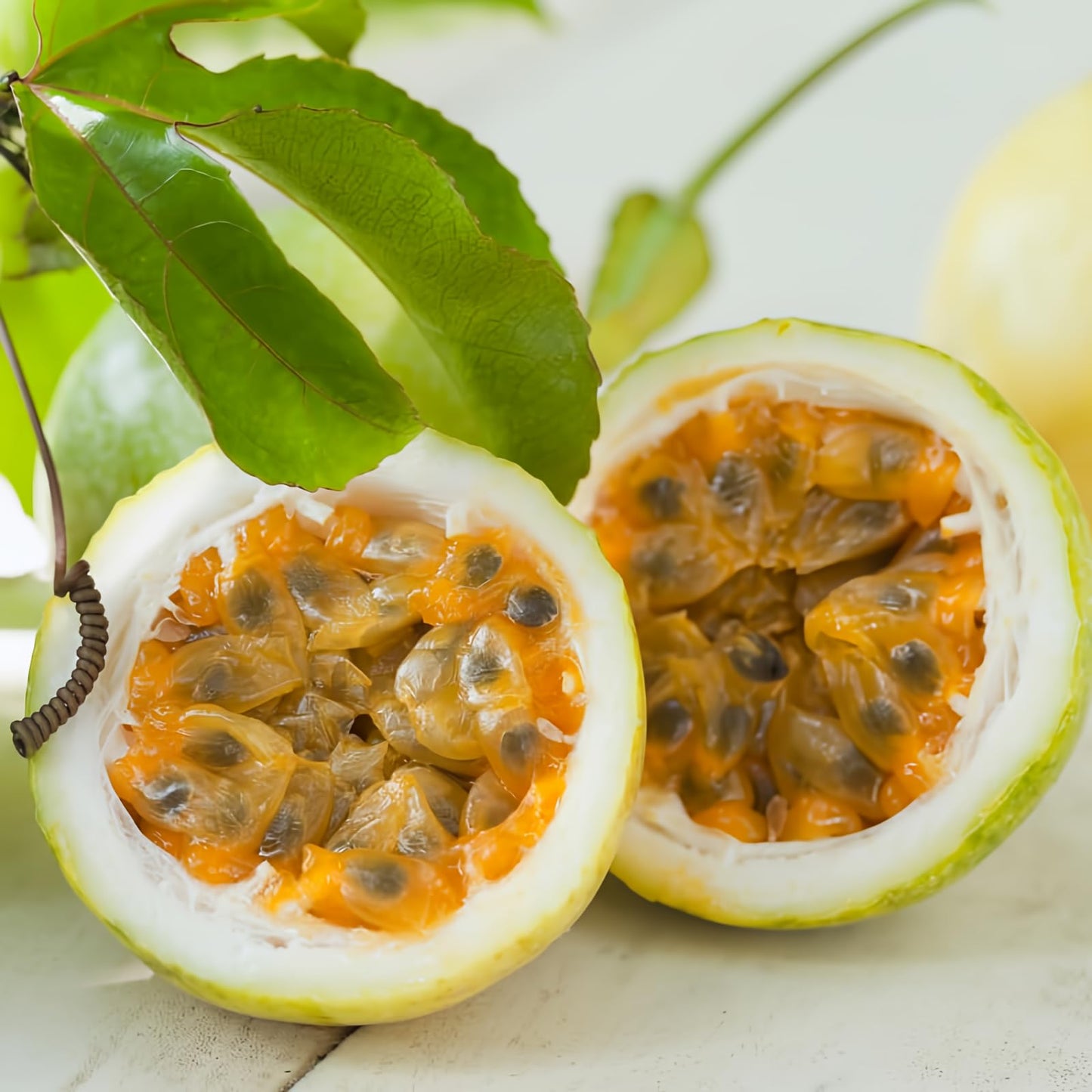 Yellow Passionfruit Vine Plant Plant 5 to 8 Inch Tall, Passion Fruit Tree Live Plant, Well Rooted, Perennial Fruits