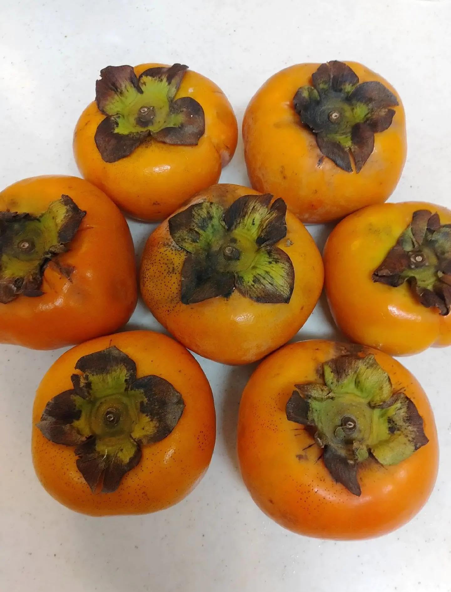 100 Pcs Persimmon Tree Seeds. Japanese Persimmon Fruit Tree Seeds for Planting. Exotic Fuyu Persimmon Seeds, Non-GMO Diospyros Kaki Seeds for Home Gardening