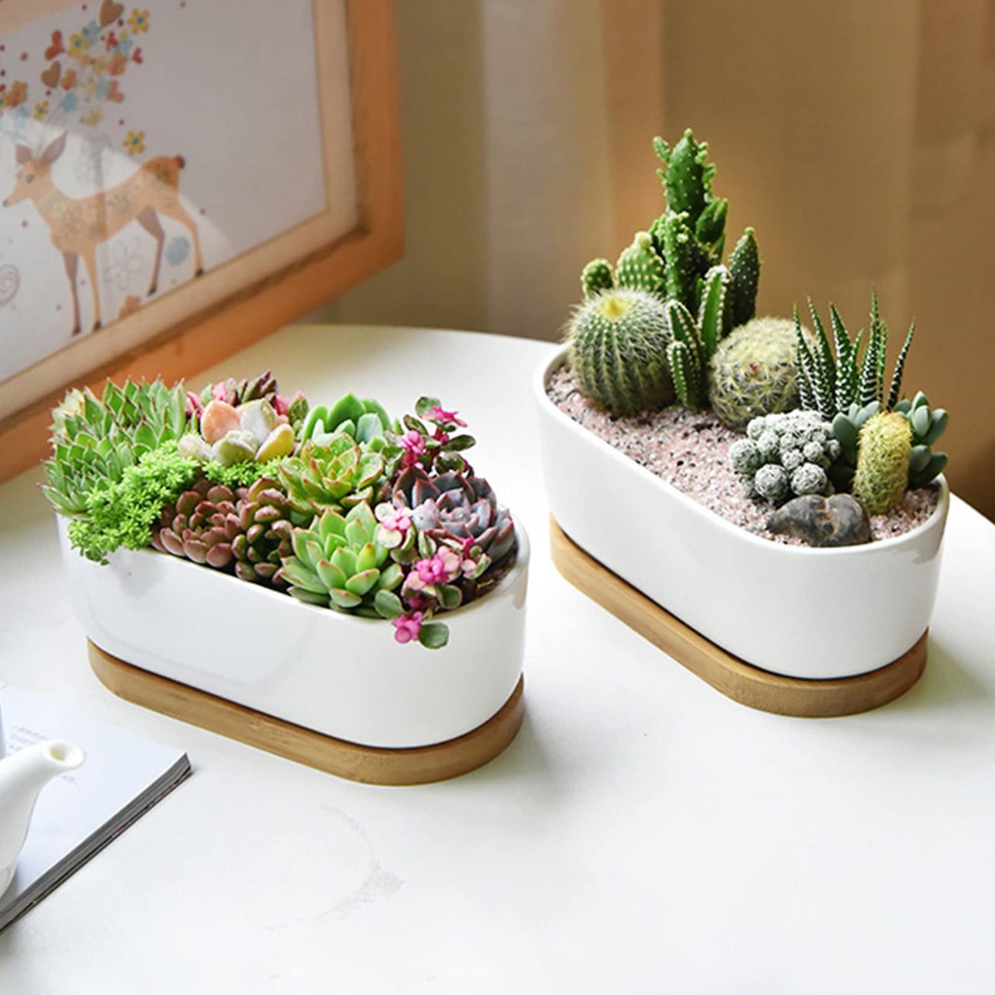 ARVINKEY White Ceramic Succulent Plant Pots, Indoor and Outdoor Succulent Planters, Set of 2 Small Cactus Containers, Bonsai Pots, Flower Pots with Drainage Hole and Bamboo Bowl (No Plant)