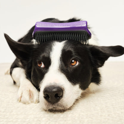 Tangle Teezer | Pet Teezer | Dual-Tier De-Shedding & Grooming Brush for Dogs | Gentle Polymer Teeth | Ideal for Double-Coated Breeds | Ergonomic & Easy Clean | Purple & Grey