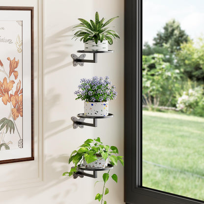 Wall Mounted Plant Holder - Butterfly Metal Hanging Shelf for Indoor Plants Succulents Flowers Decor Sturdy Wall-Mounted Storage for Bedroom Living Room Bathroom Space-Saving Home Organizer 3-Pack
