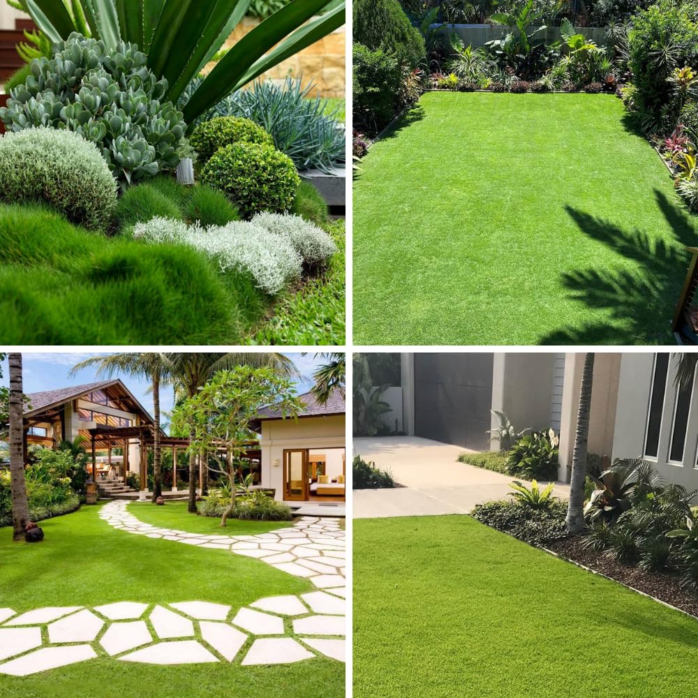 Zoysia Grass Seeds for Lawn, 20000 Seeds Count, Zoysia Seeds Lawngrass to Grow Backyard Home Garden