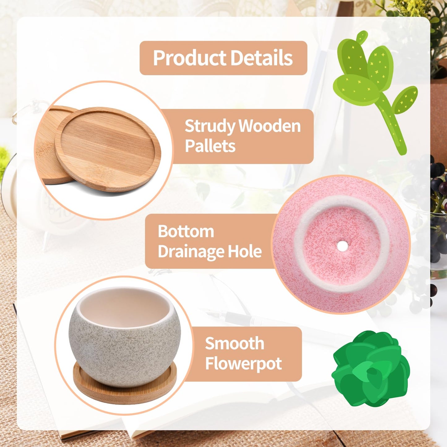 6 Pack Ceramic Succulent Pots with Drainage – Small Round Planters for Indoor Plants & Cactus, Mini Flower Pots with Bamboo Trays, Desk & Home Décor, Gift for Plant Lovers, Office, Balcony, Garden