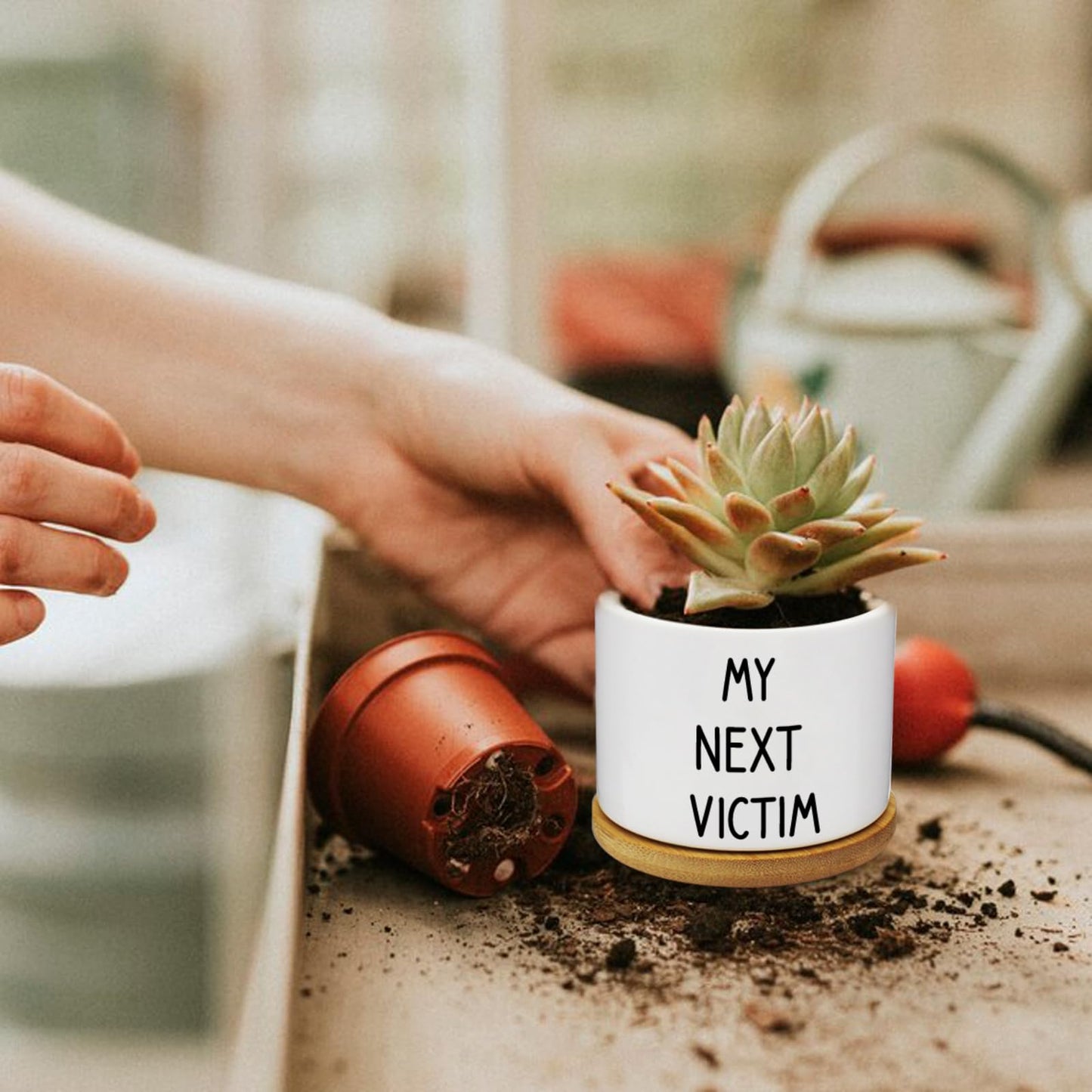 Rojuna 12 Pcs Funny Succulent Pots with Bamboo Tray White Ceramic Aloe Cactus Plant Pots Funny Plant Pots for Women Coworker Employee