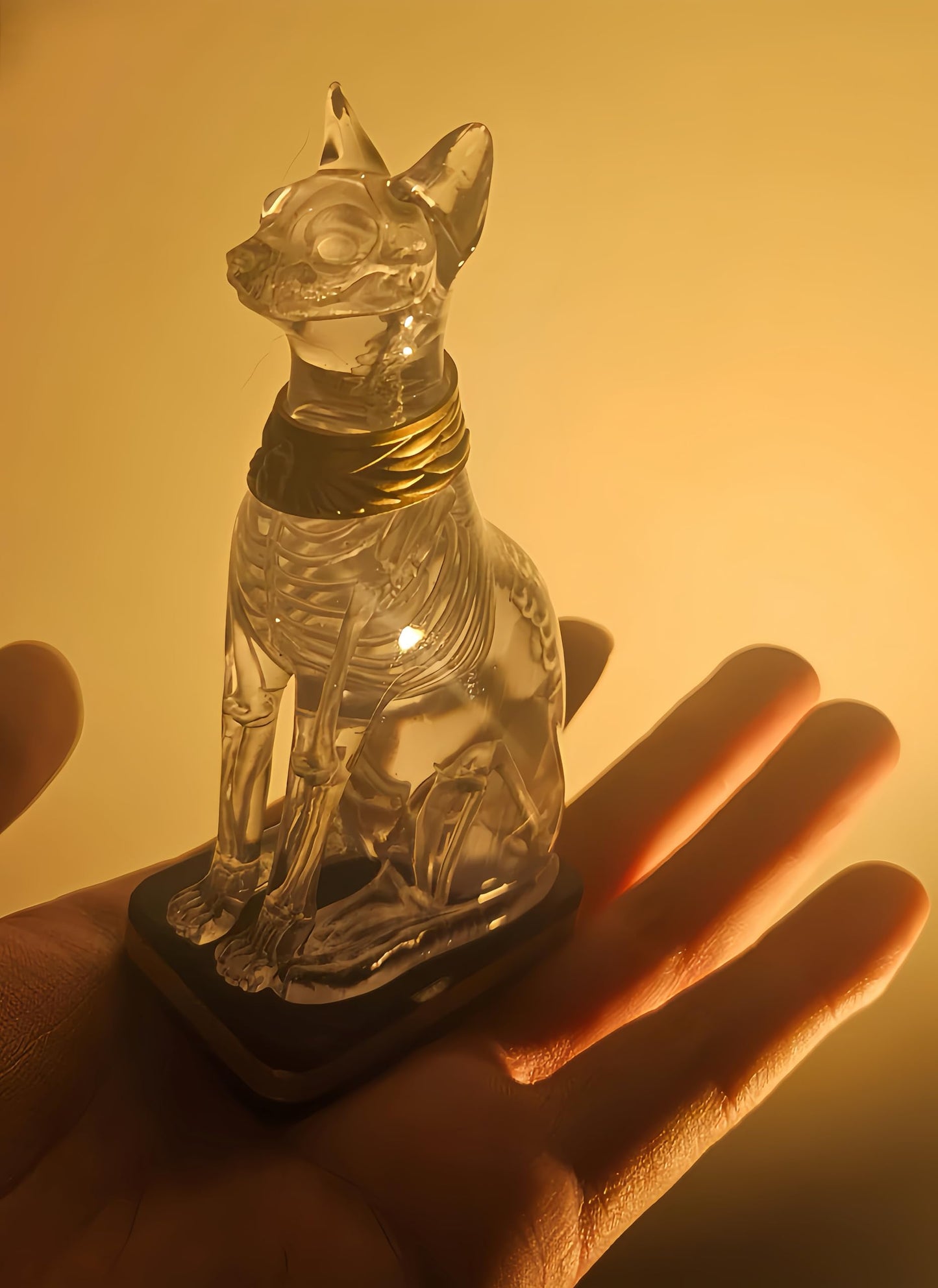 Hylophlogis 4.3 inches Tall Handcrafted Transparent Resin Cat Skeleton Statue - Egyptian Bastet Anatomical Model for Art Students, Medical Study, Unique Home Decor & Gift for Cat Lovers, Collectors