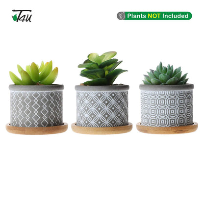 T4U 6CM Cement Succulent Pots with Bamboo Tray 3-Set, Concrete Cactus Pots Small Cacti Planter Grey Gardening Plant Pot Container for Home and Office Decoration Birthday Wedding