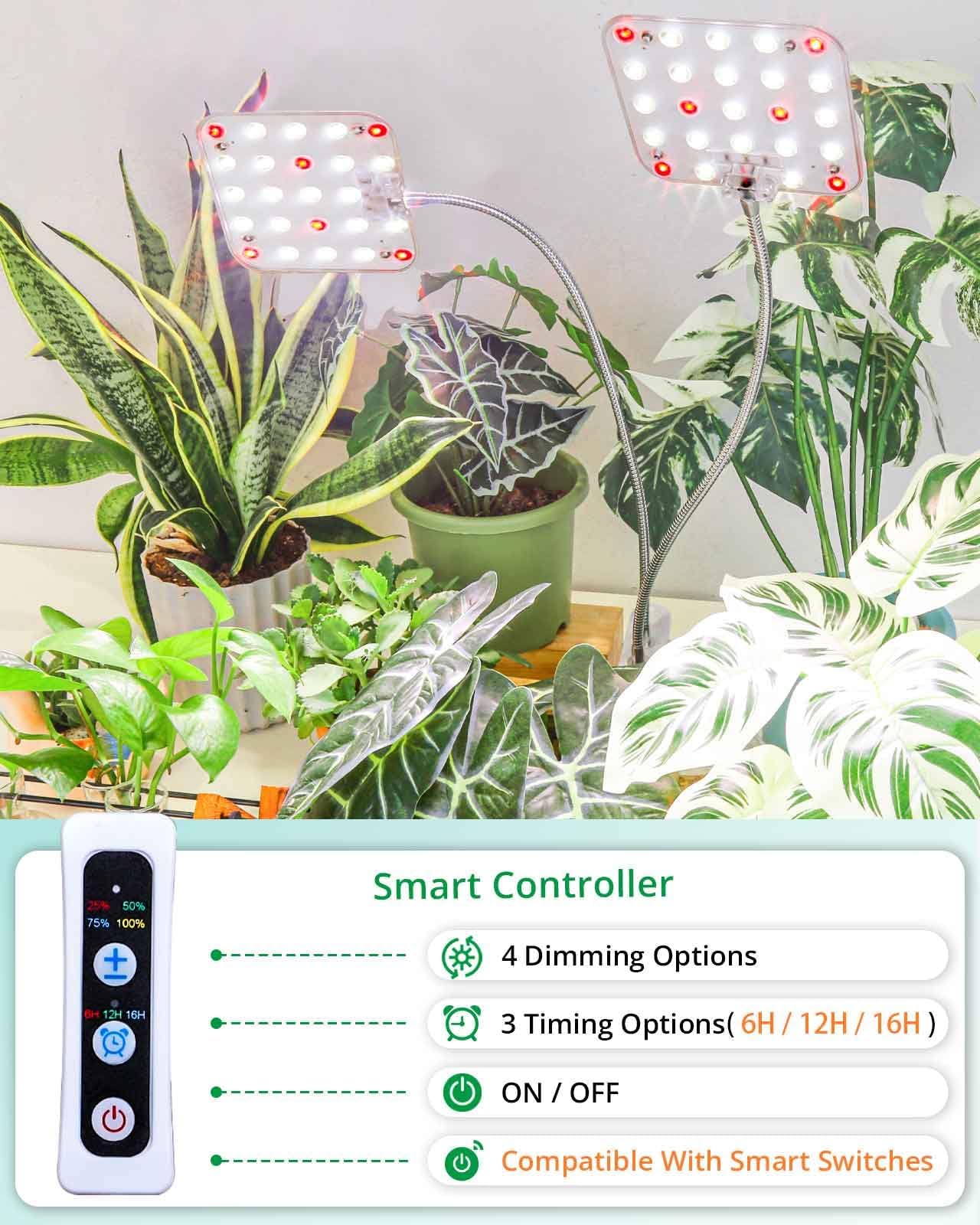 DOMMIA Plant Light, Dimmable Desk Clip on Plant Light for Indoor Plants with 6/12/16h Timer, Gooseneck Grow Lamps, Full Spectrum for Seeding, Succulent, Potted Plants, 2-Head
