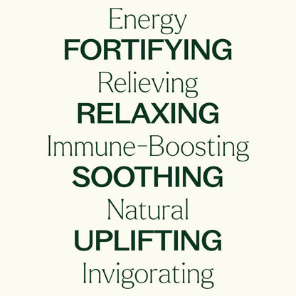 Plant Therapy Essential Oil Blends Set, Top 6 Most Popular, 100% Pure, Undiluted, Natural Aromatherapy, Therapeutic Grade, 10 mL