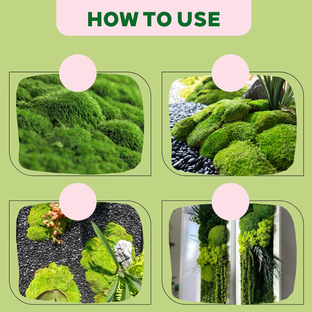 Cigarlemon Preserved Moss for DIY Crafts - 1.5 sq.ft Natural Dried Moss for Terrarium, Fairy Garden, Home Decor, Wall Art, Floral Arrangements - Flexible Real for Creative Projects, Dark Green