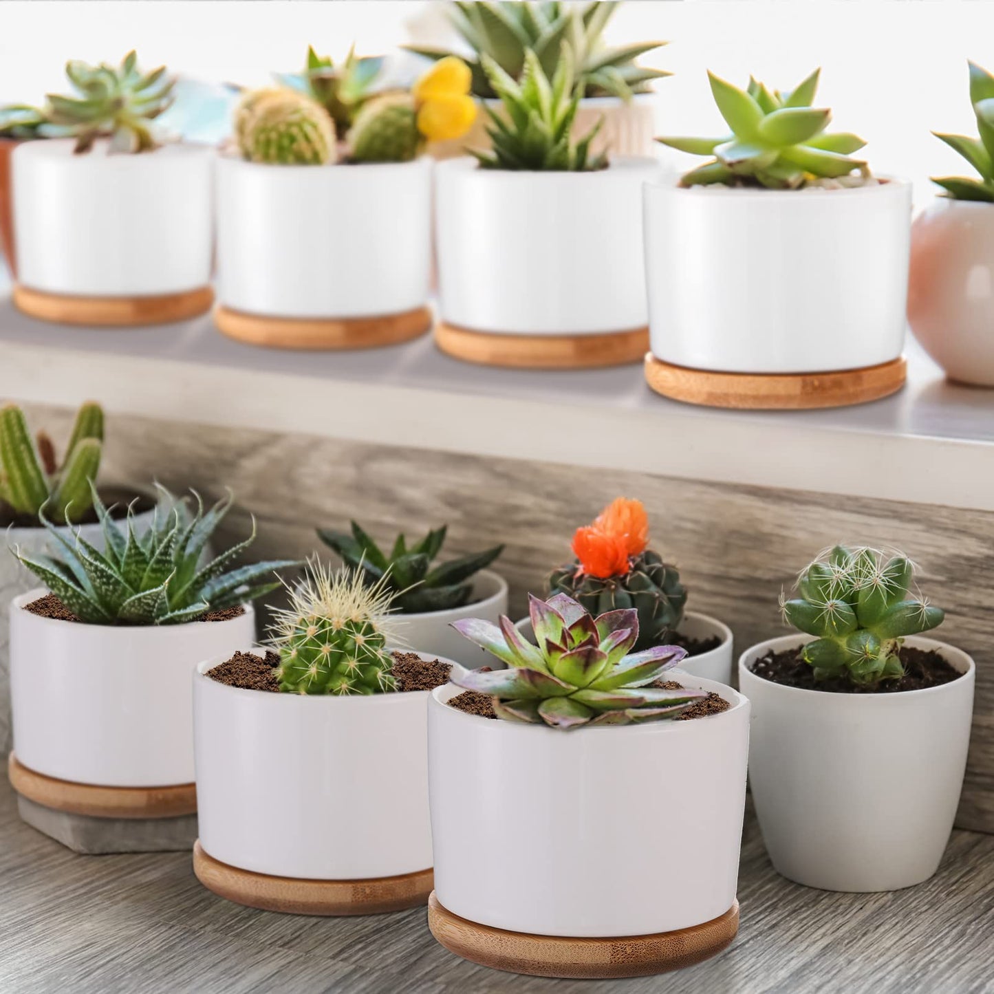 Cindeer 6 Pack White Succulent Plant Pots Bulk - 3" Ceramic Flower Pot with Bamboo Tray & Drainage Holes, Small Cactus Planters for Plant Lover, Home Office Table Decor (Plants Not Included)