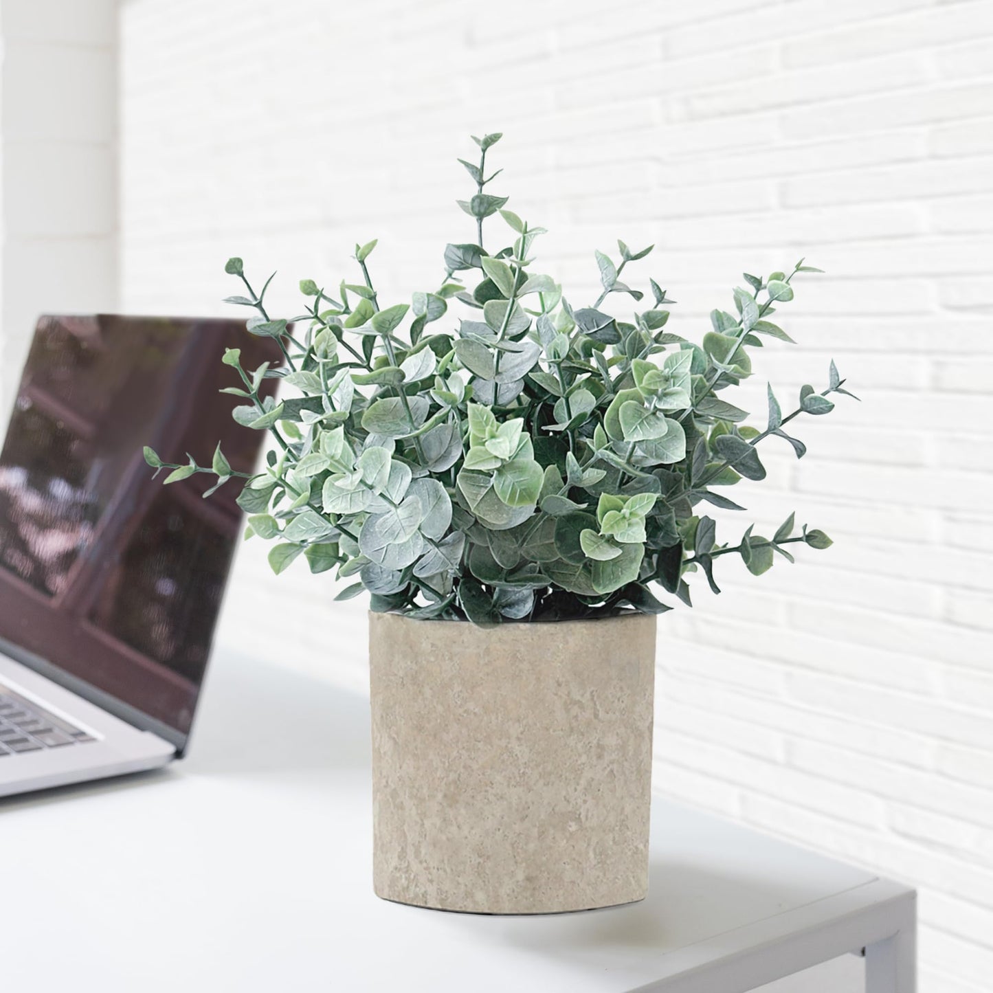 MIXROSE 2 Pack Fake Plants Eucalyptus Small Potted Artificial Plants Indoor Greenery for Shelf Desk Home Bathroom Modern Farmhouse Living Room Coffee Table Decor