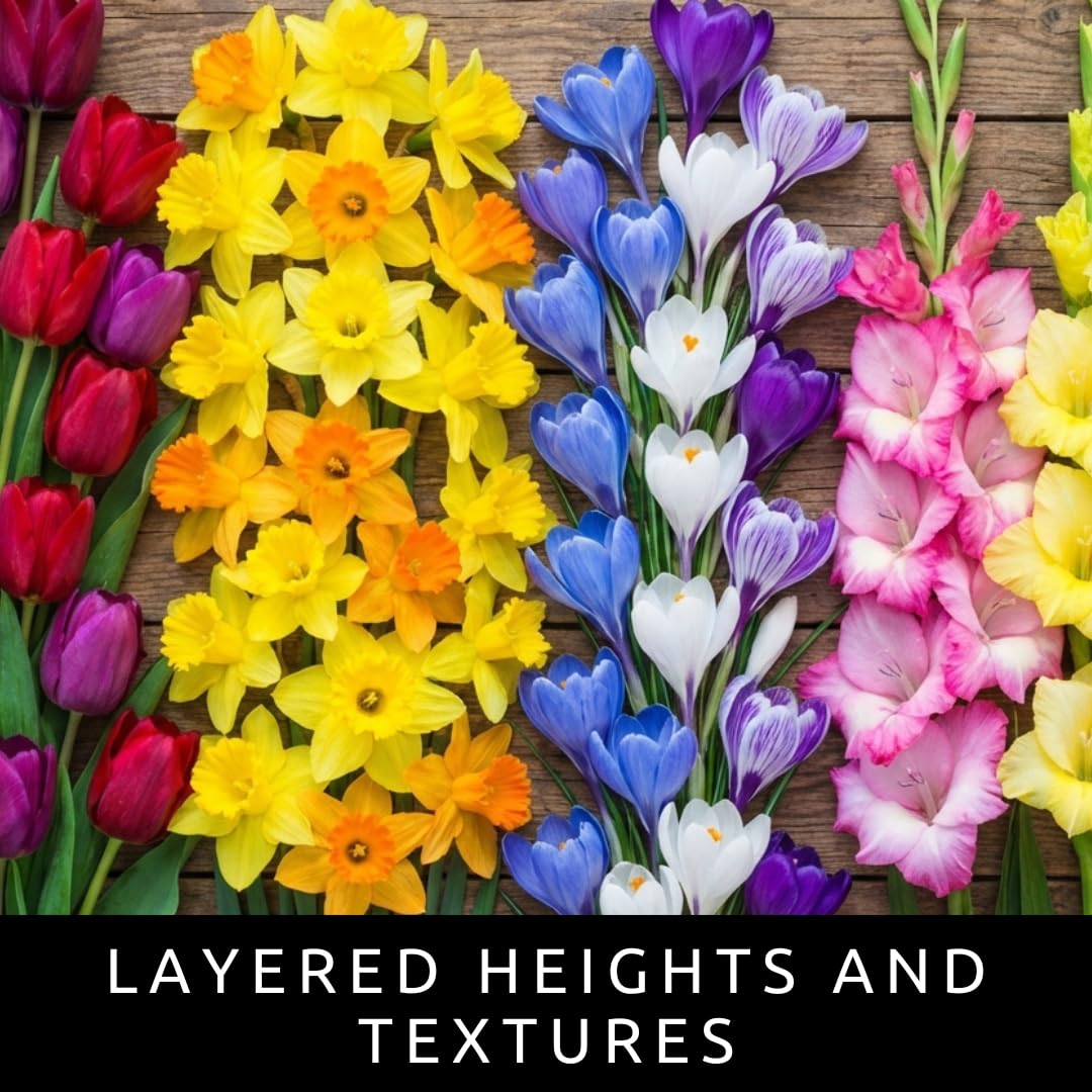 Complete Spring Flower Garden | 50 Fresh Bulbs | Bloom All Spring and Summer | Easy to Grow Flower Bulb, Indoor/Outdoor | Tulips, Daffodils, Crocus, Gladiolus - Living Gift