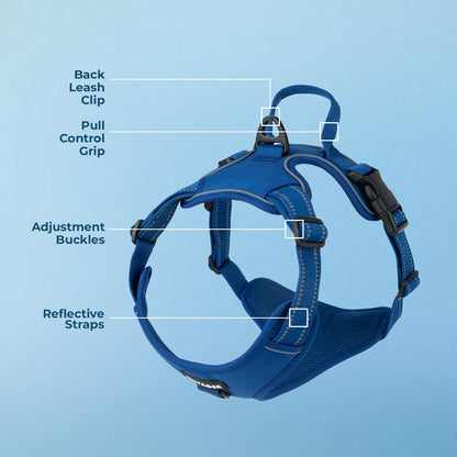 Voyager No Pull Dog Harness for Small Dogs, Dual Leash Attachments, Adjustable Soft but Strong Pet Harness with 3M Reflective Technology, Royal Blue Lattice Nylon, S (Chest: 16-20")
